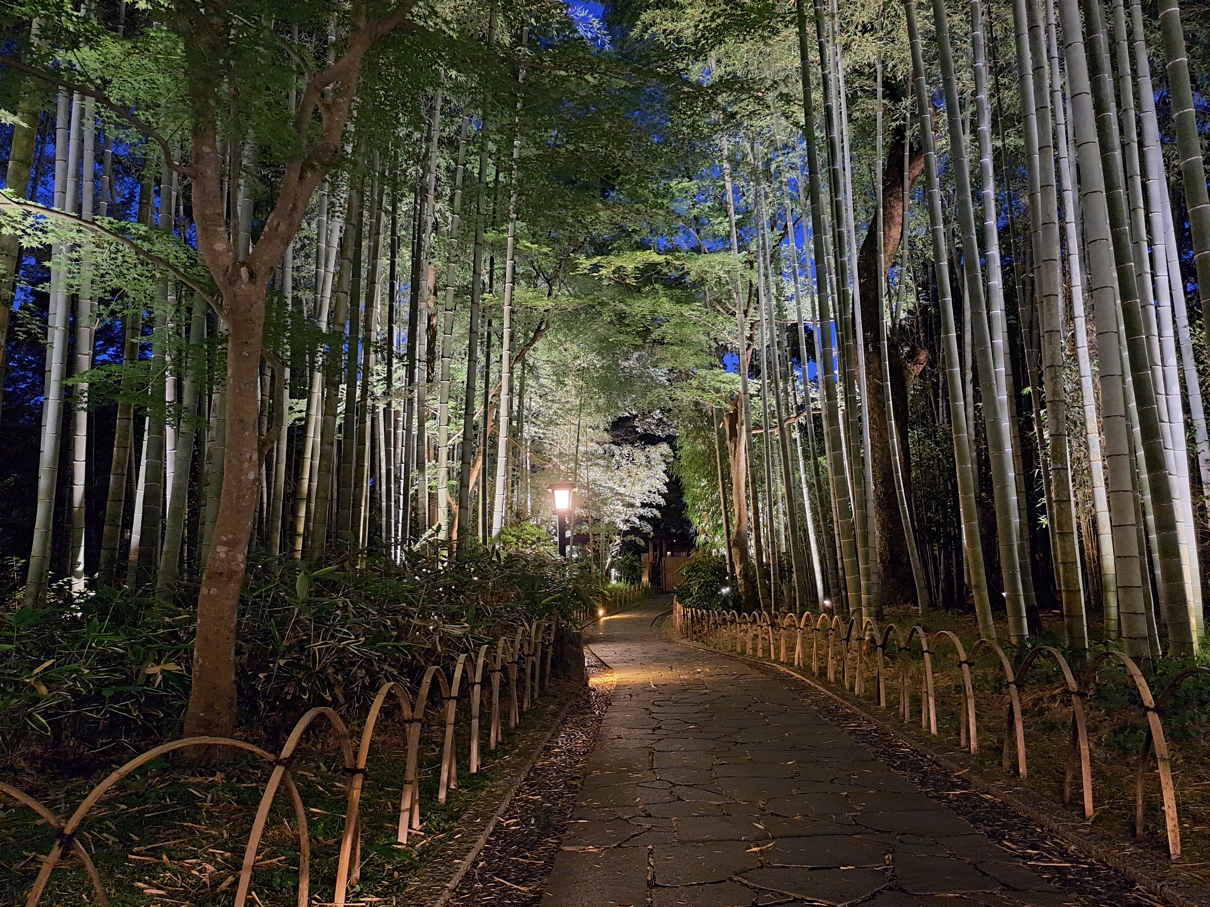 夜景らしい幻想的な写真に仕上がった