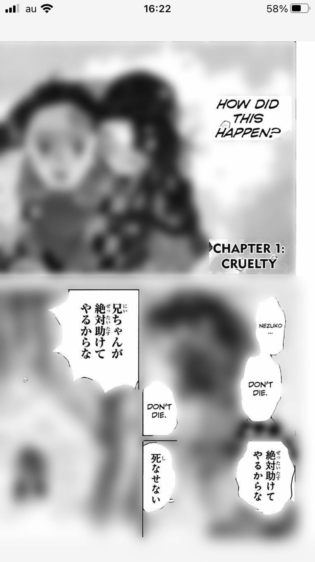 50％の割合で表示したところ