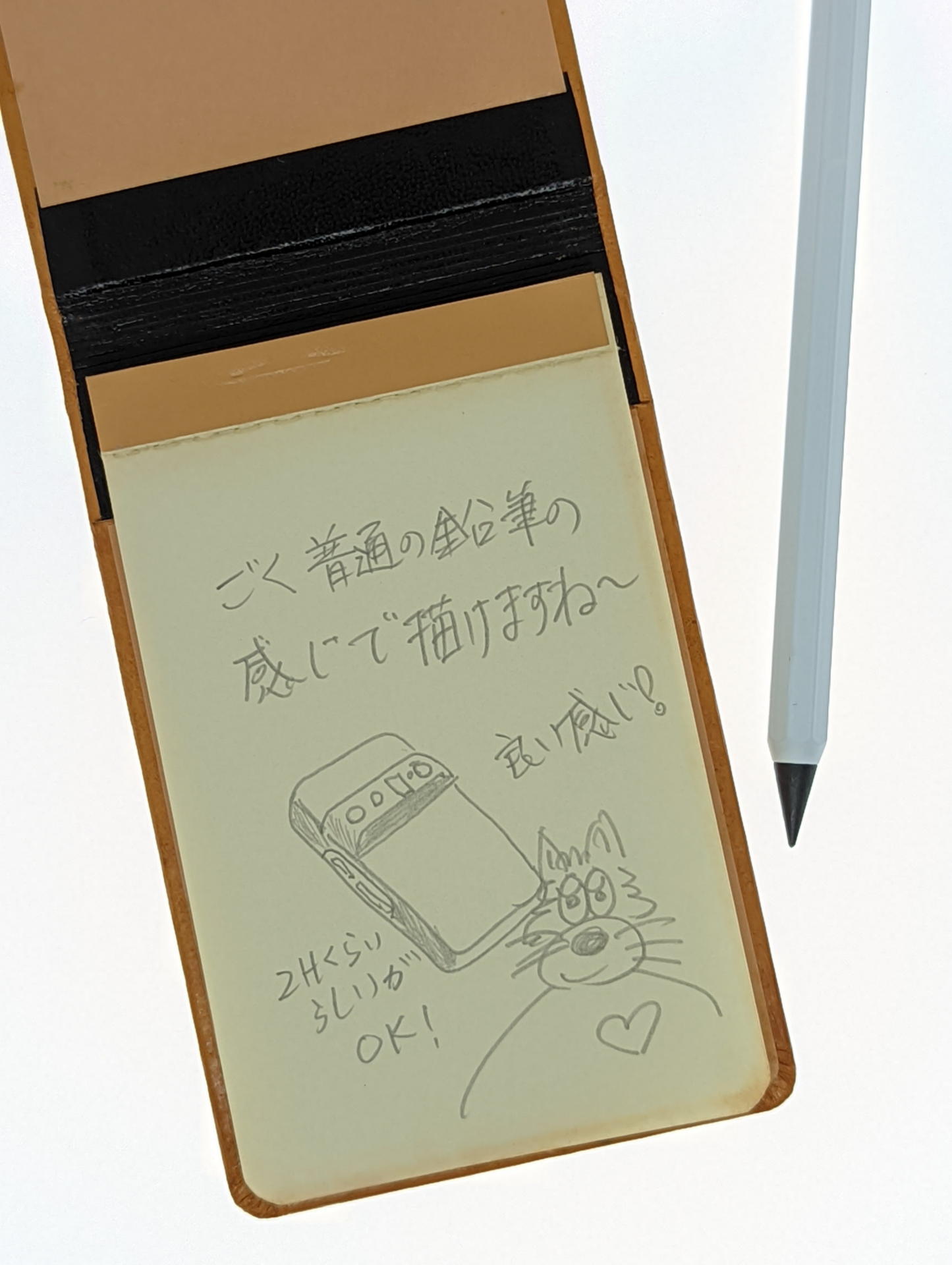 30年以上昔の某社のThinkメモとメタシルを持ち歩いて使ってみたけど違和感はほとんど感じることがなかった