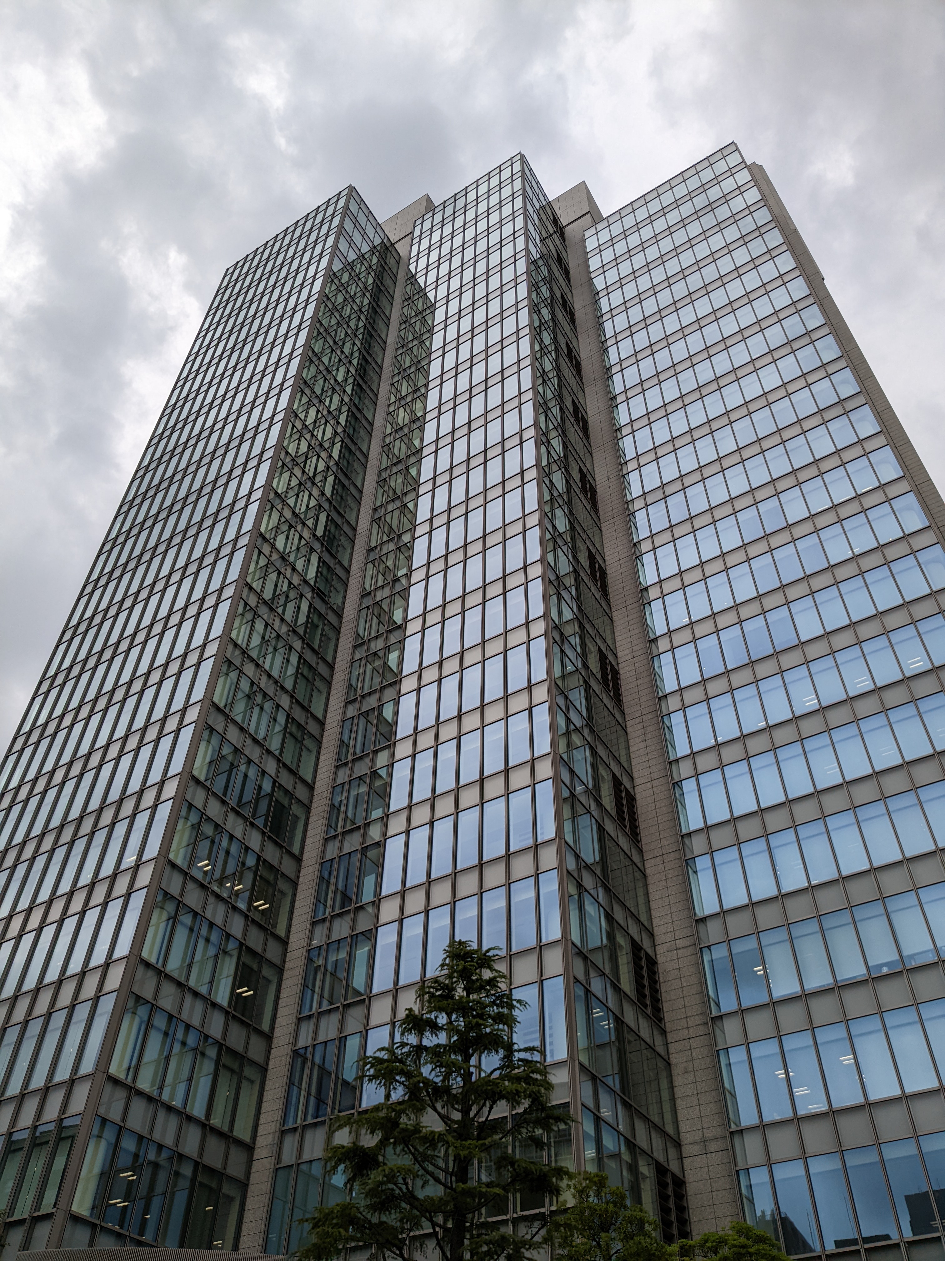 広角カメラで撮影