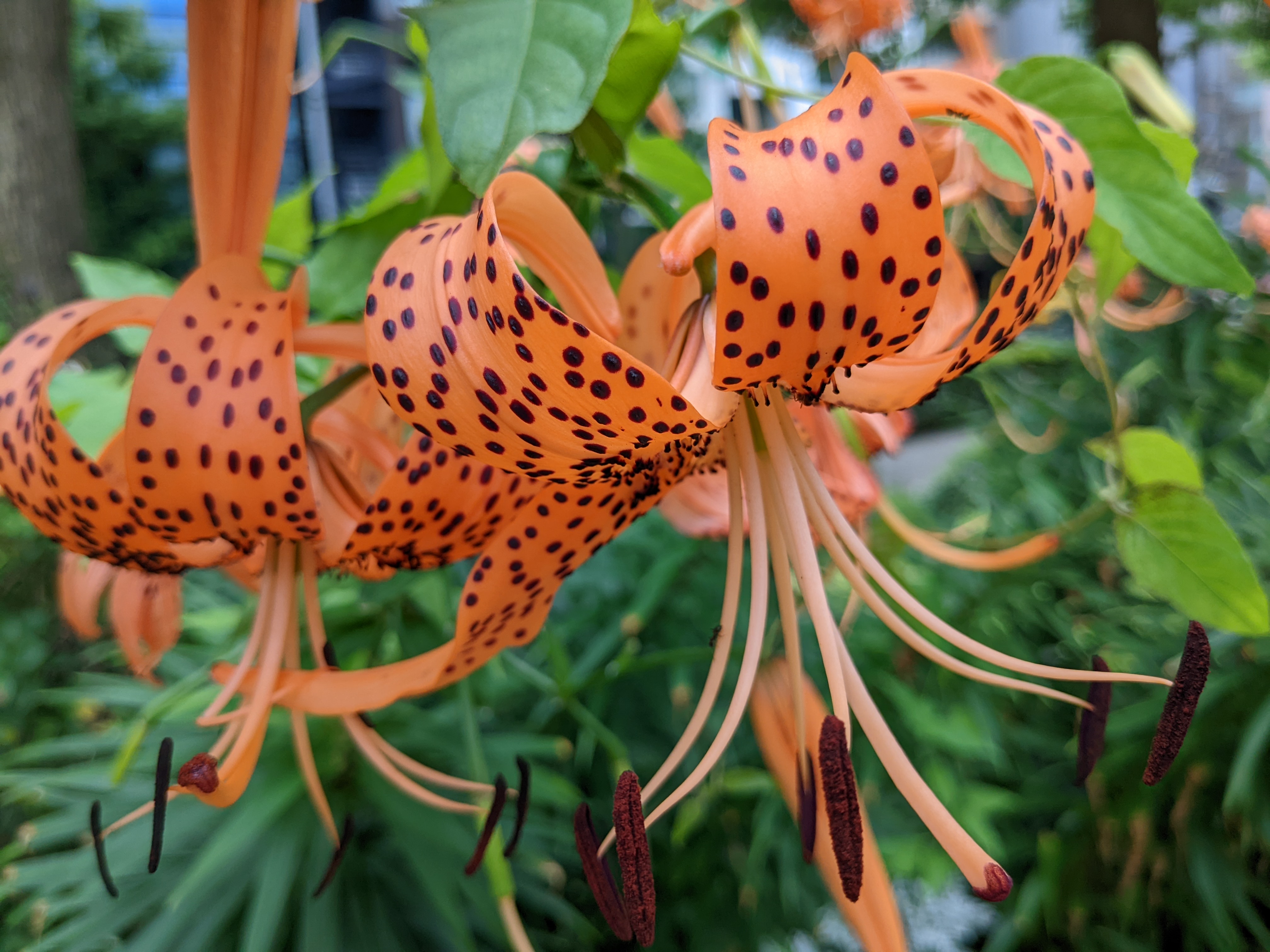 広角ズームで寄ったところ