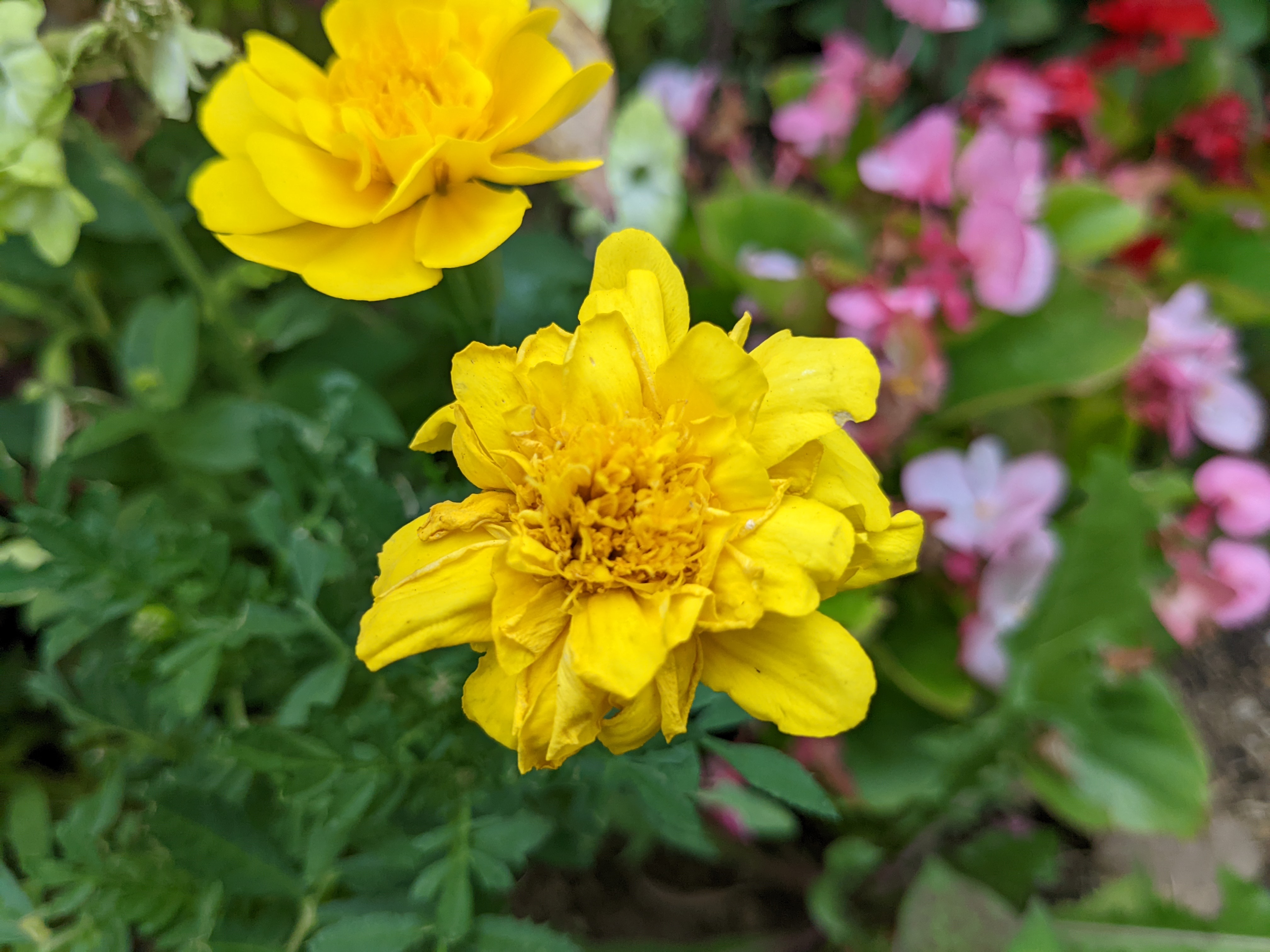 広角ズームで寄ったところ