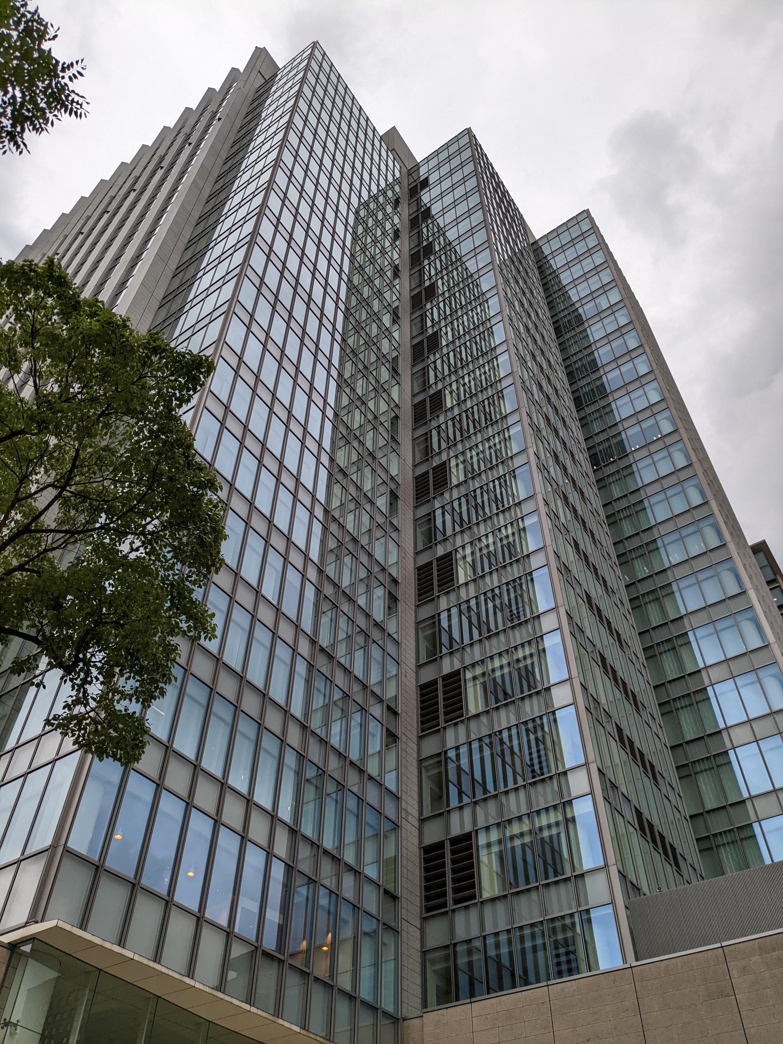 広角カメラで撮影