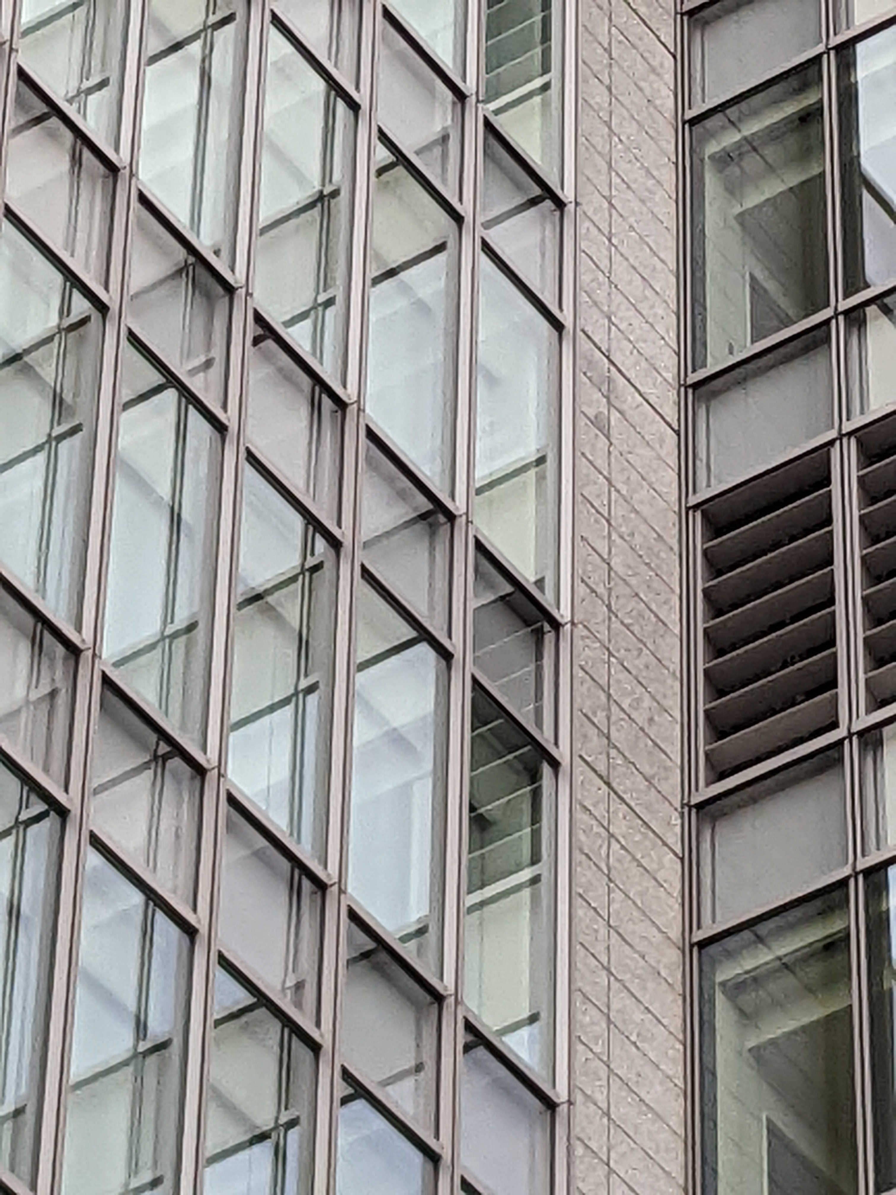 7倍ズームで最大まで寄ったところ