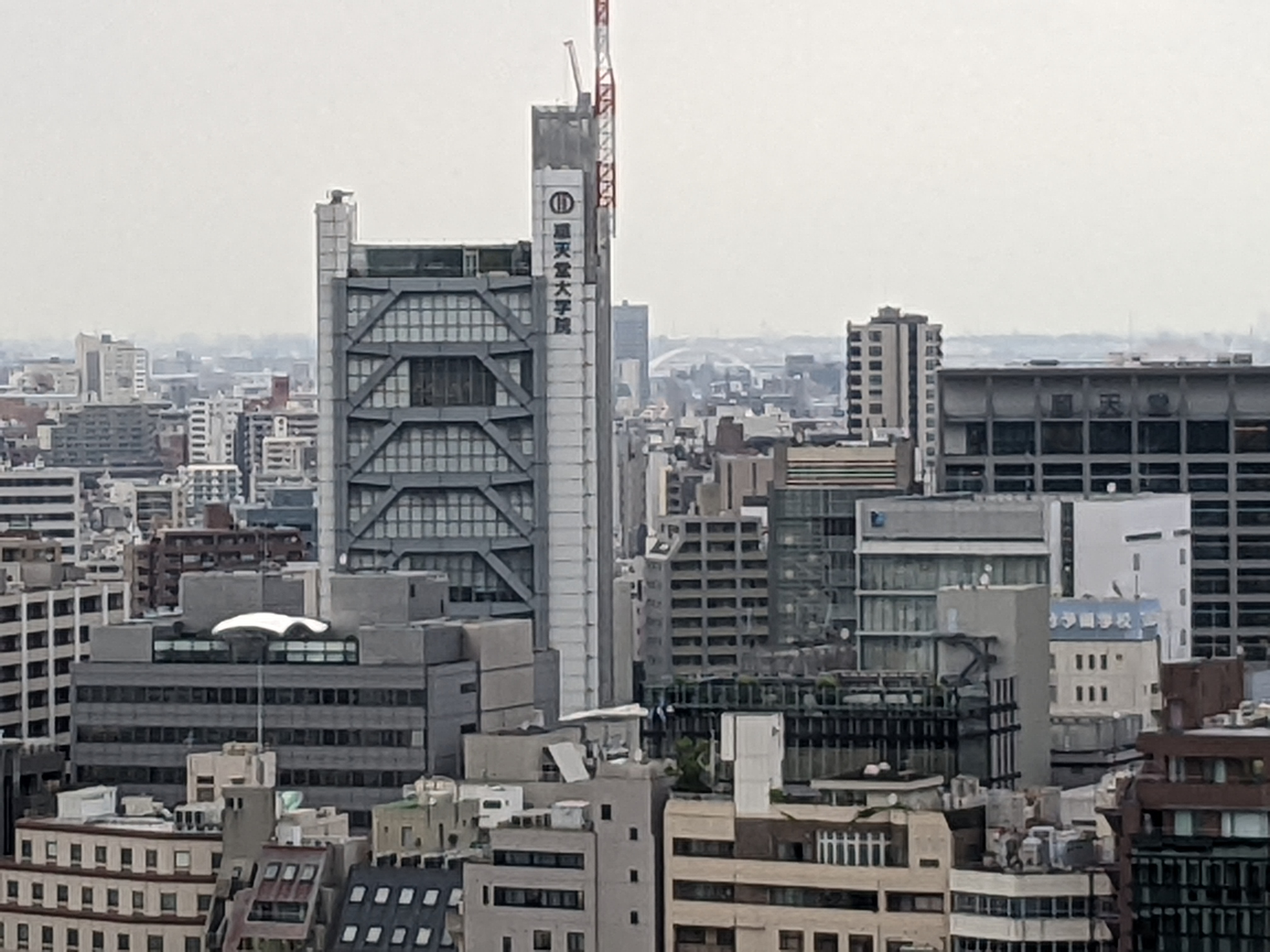 7倍ズームで最大まで寄ったところ