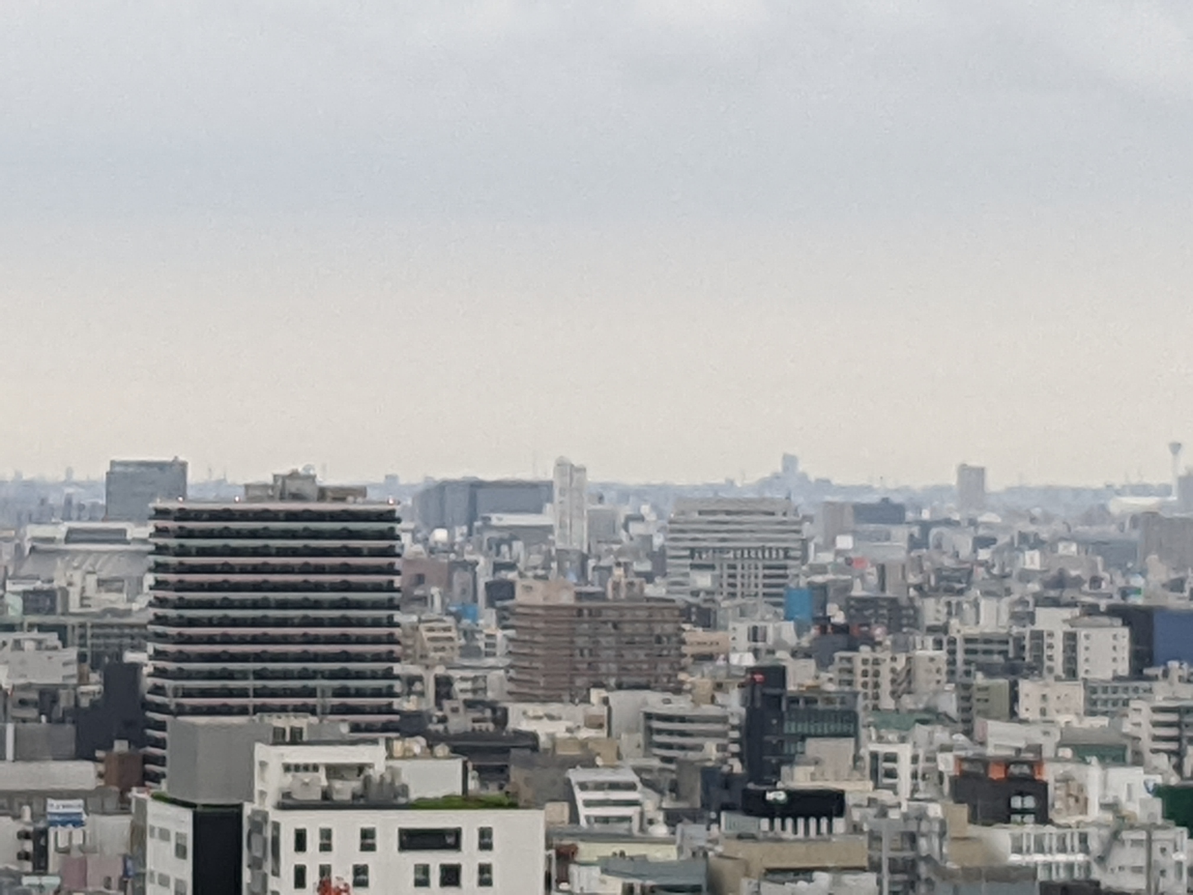 7倍ズームで最大まで寄ったところ