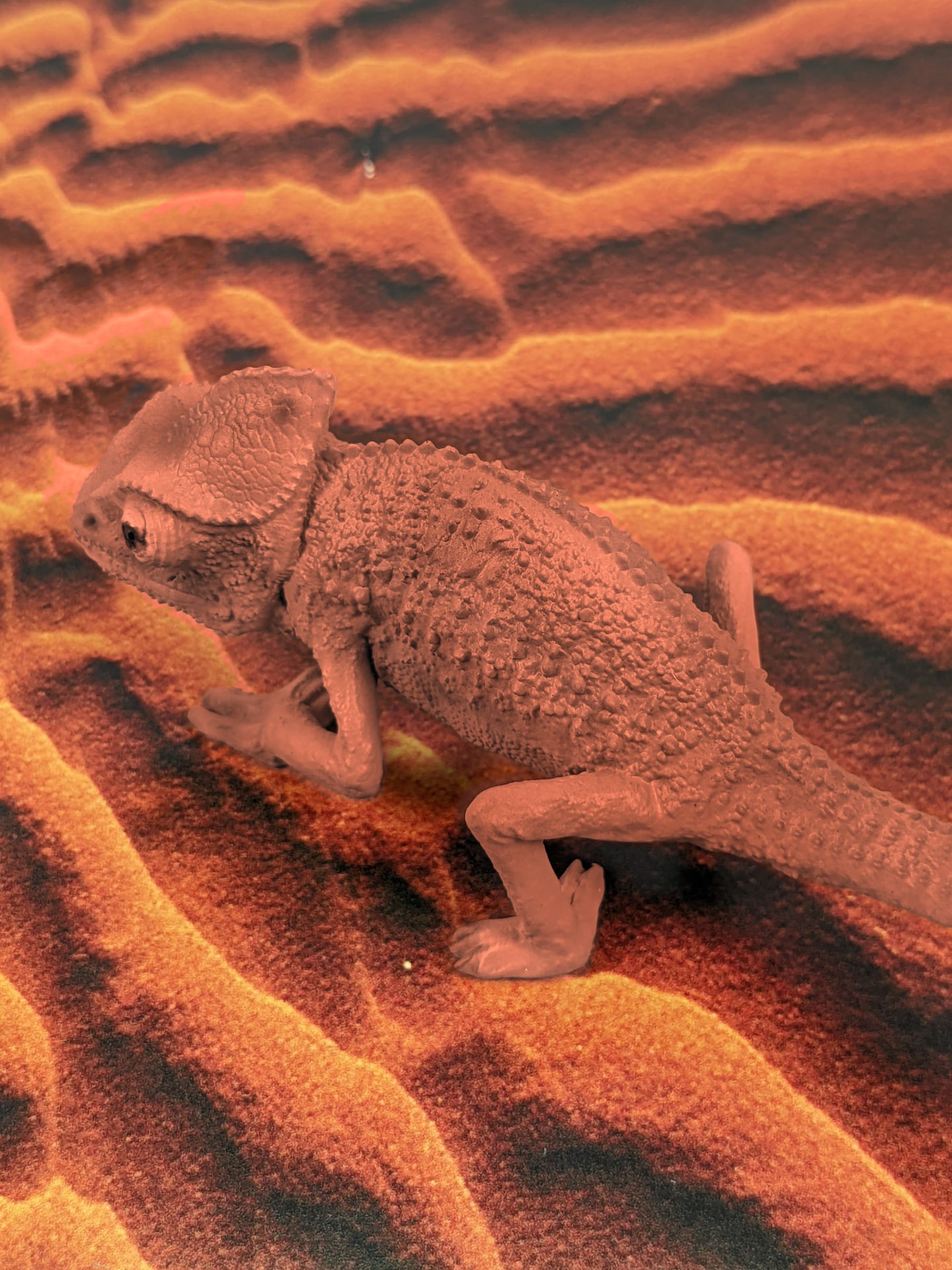 変色するカメレオン