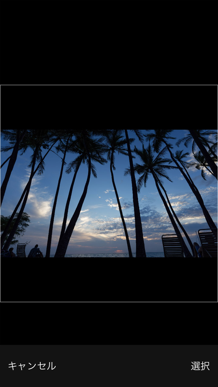 手元の写真をアップロードすると……