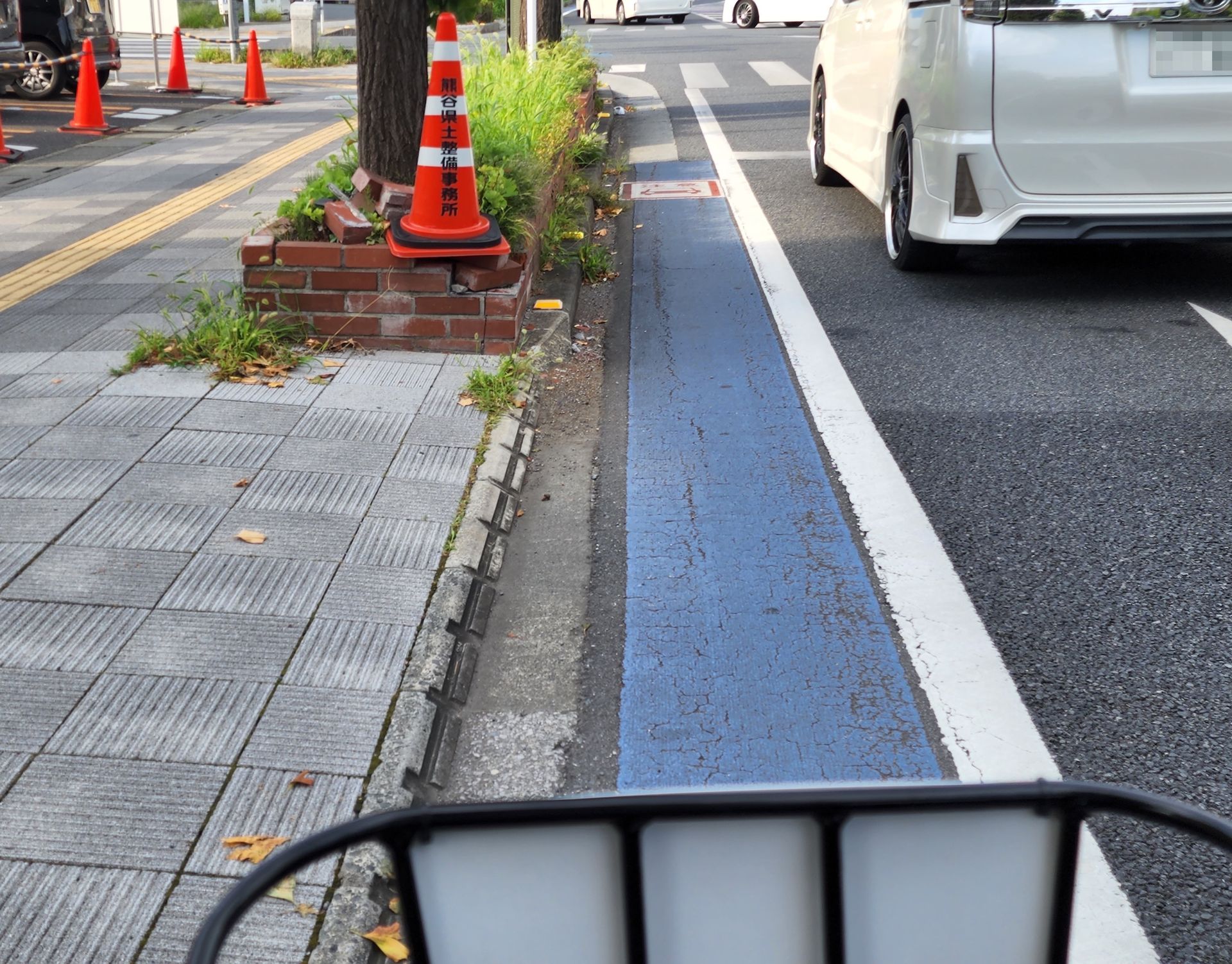 自転車専用通行帯が整備されており、自転車でも走行しやすかった