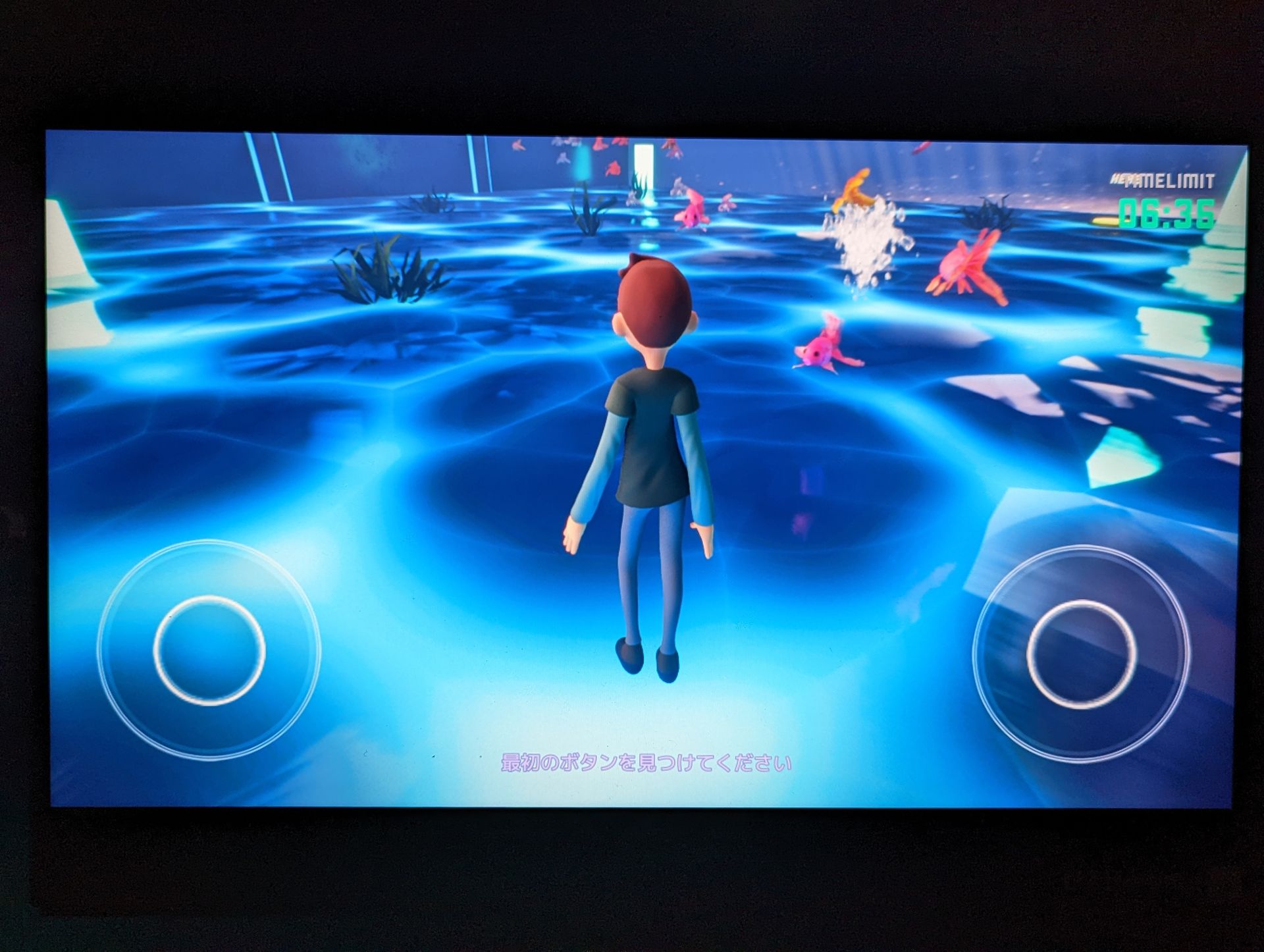 視点も自由に調整できる