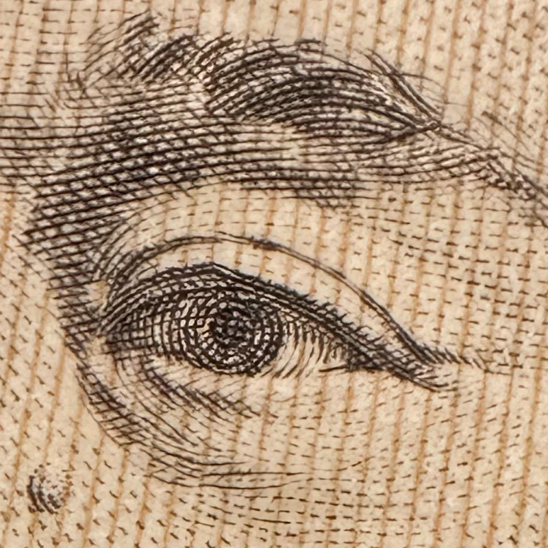 iPhone 14 Pro Maxのマクロ写真の中央を等倍で切り出した写真。13 Proとの差は歴然としている