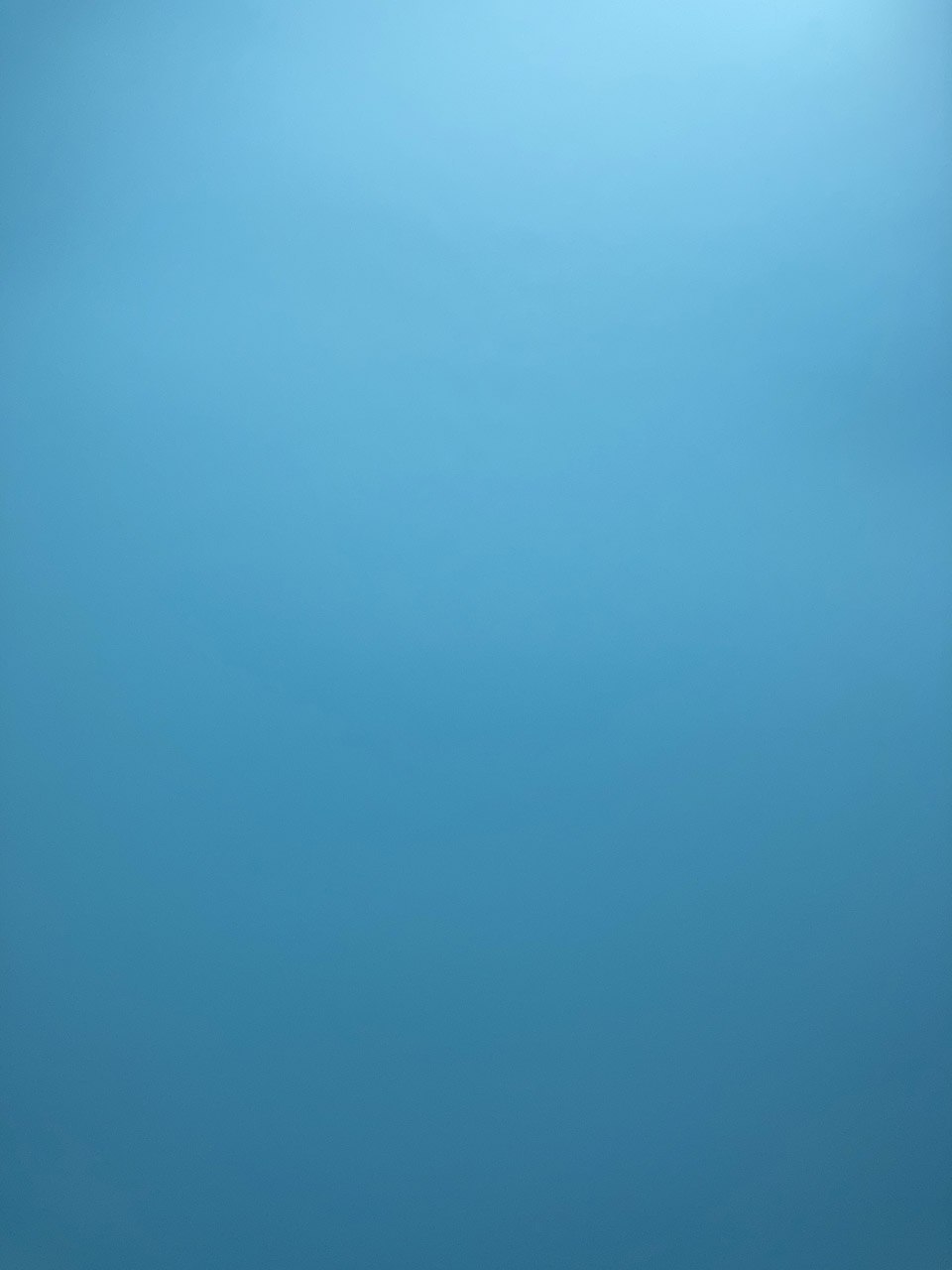 ただのブルーバックである