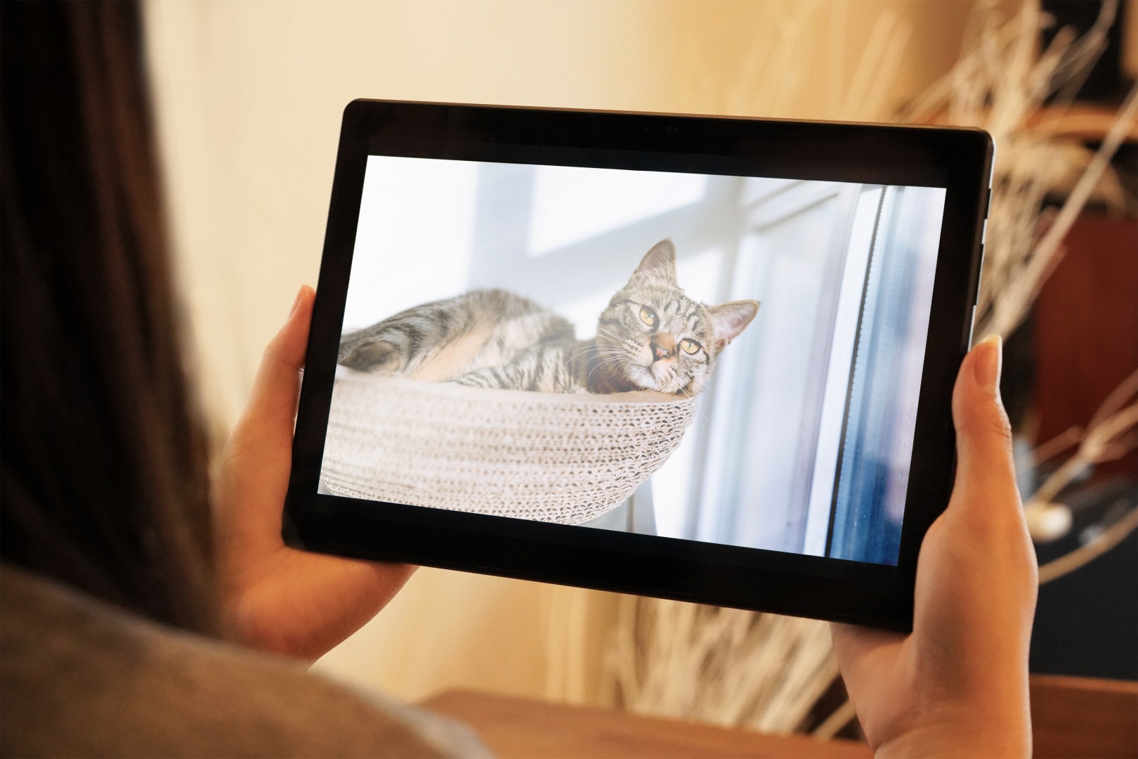 +Styleタブレット