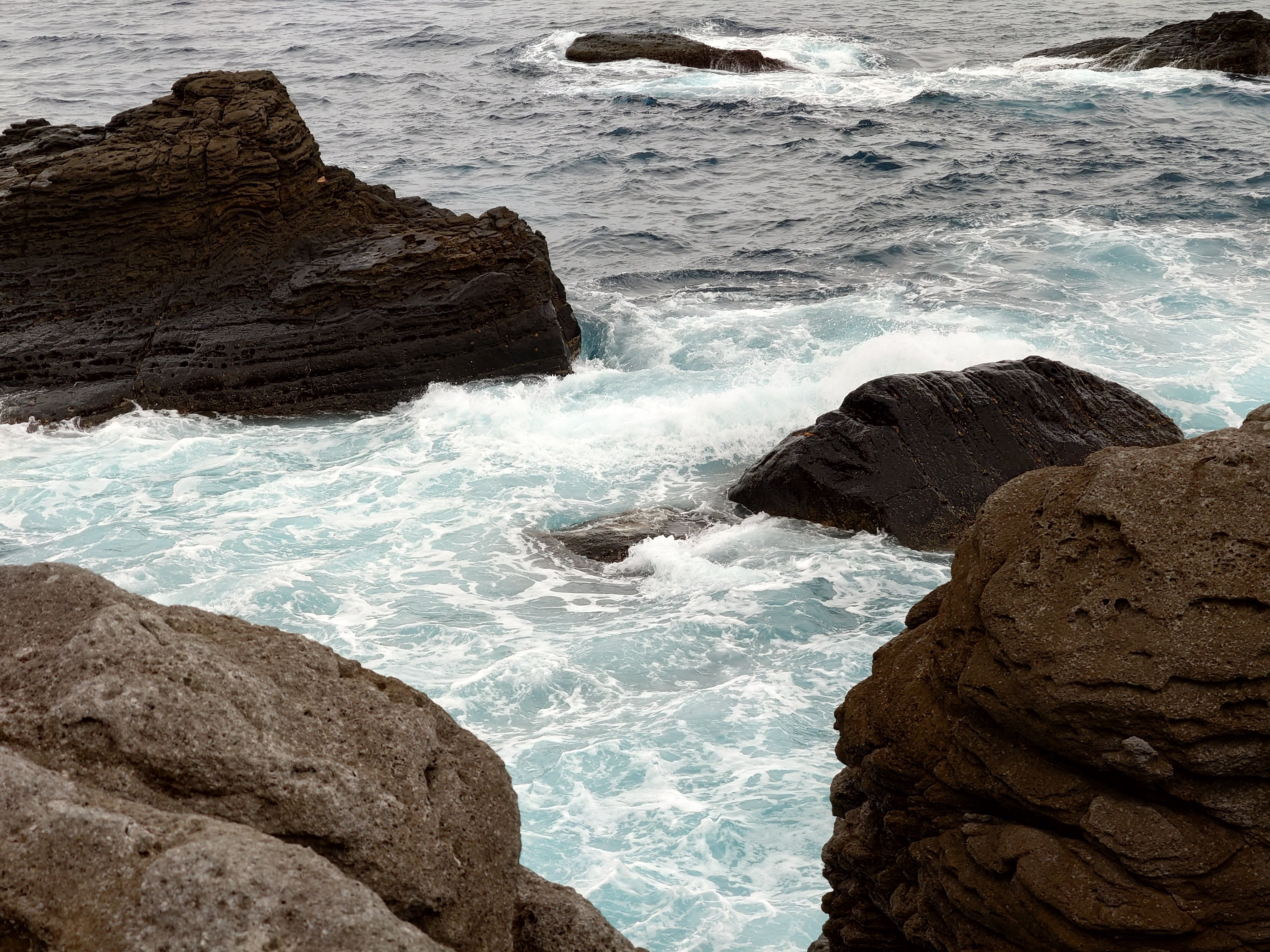 20fps連写の作例（全31枚）