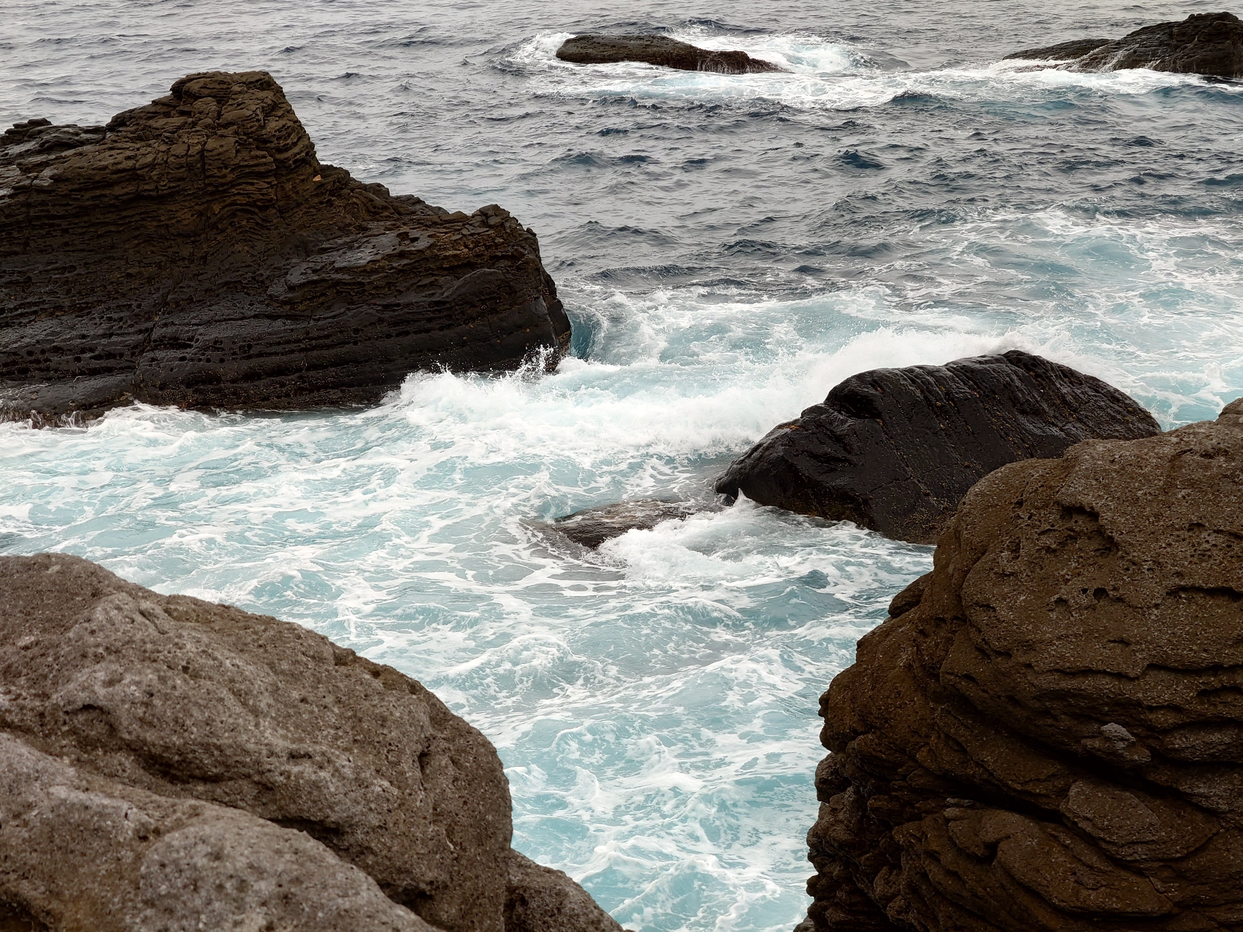 20fps連写の作例（全31枚）