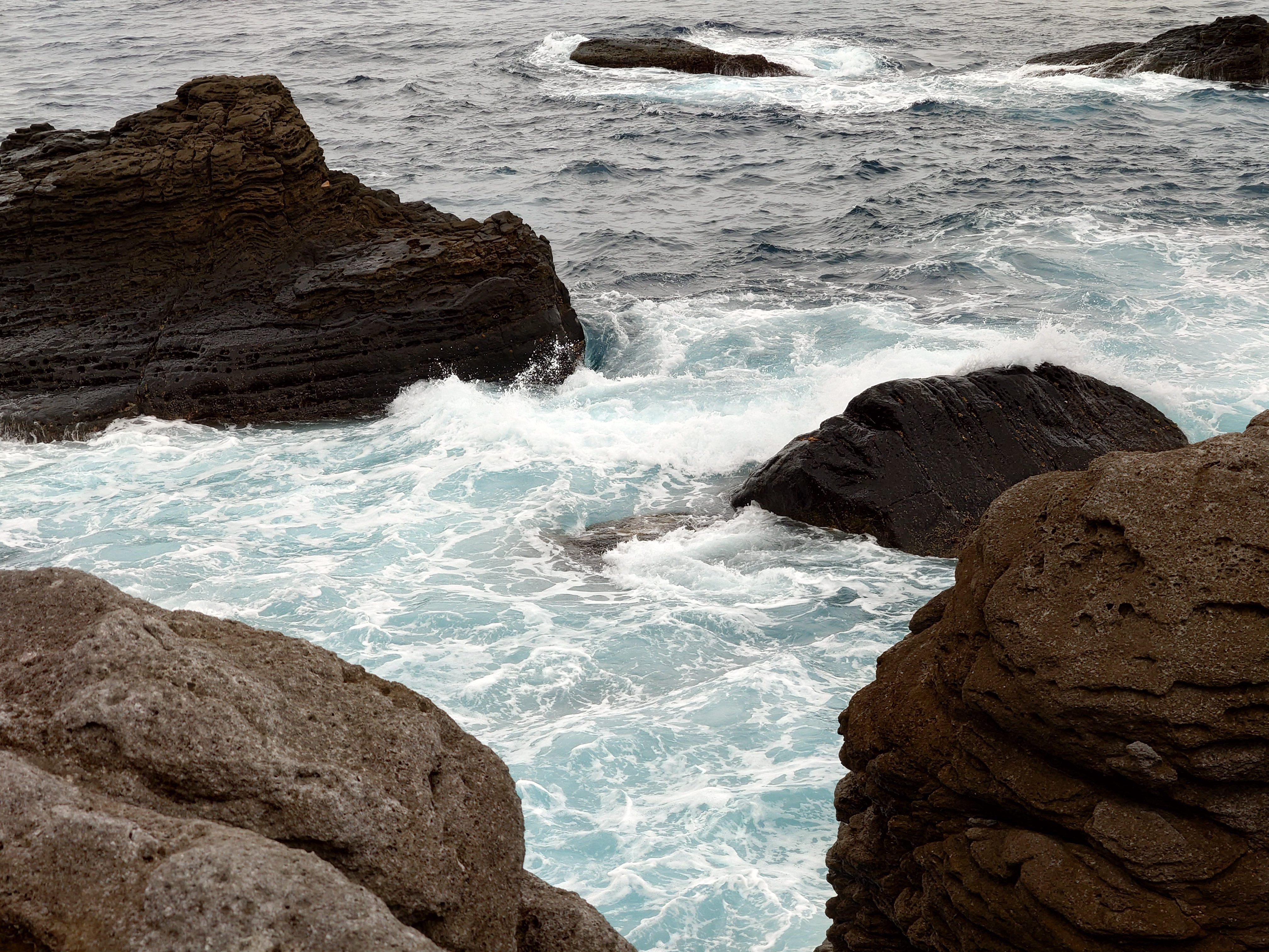 20fps連写の作例（全31枚）