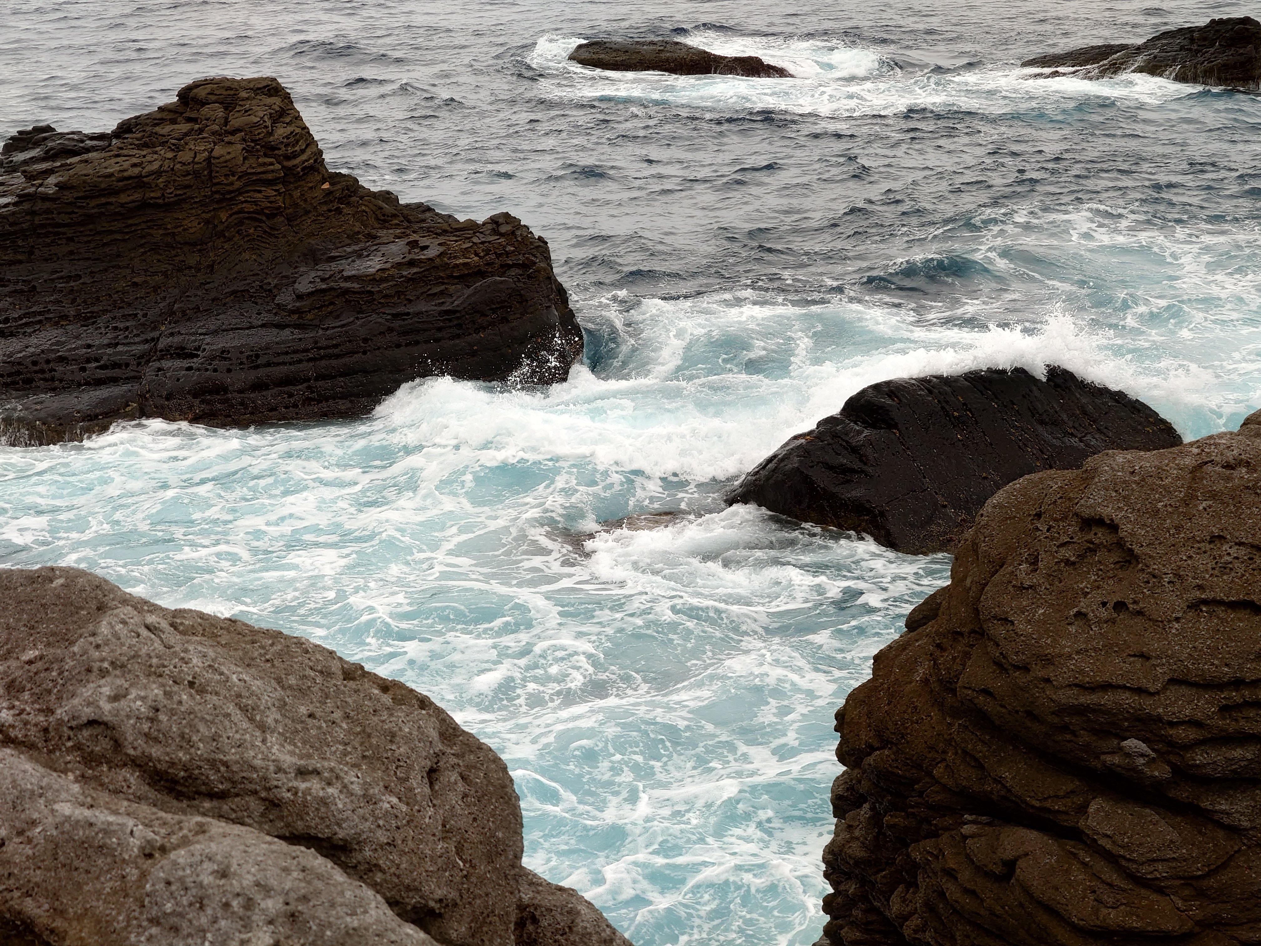 20fps連写の作例（全31枚）