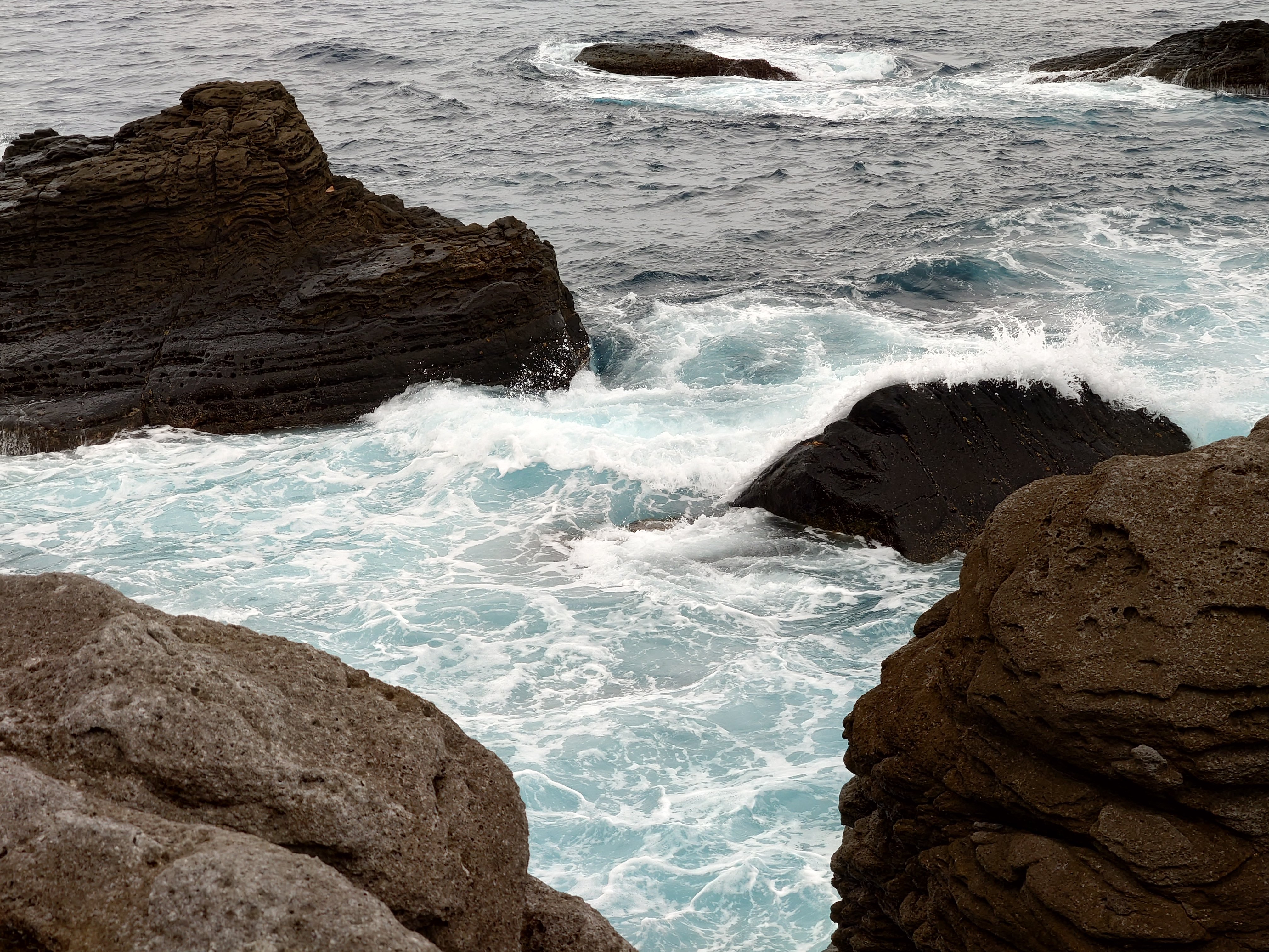 20fps連写の作例（全31枚）