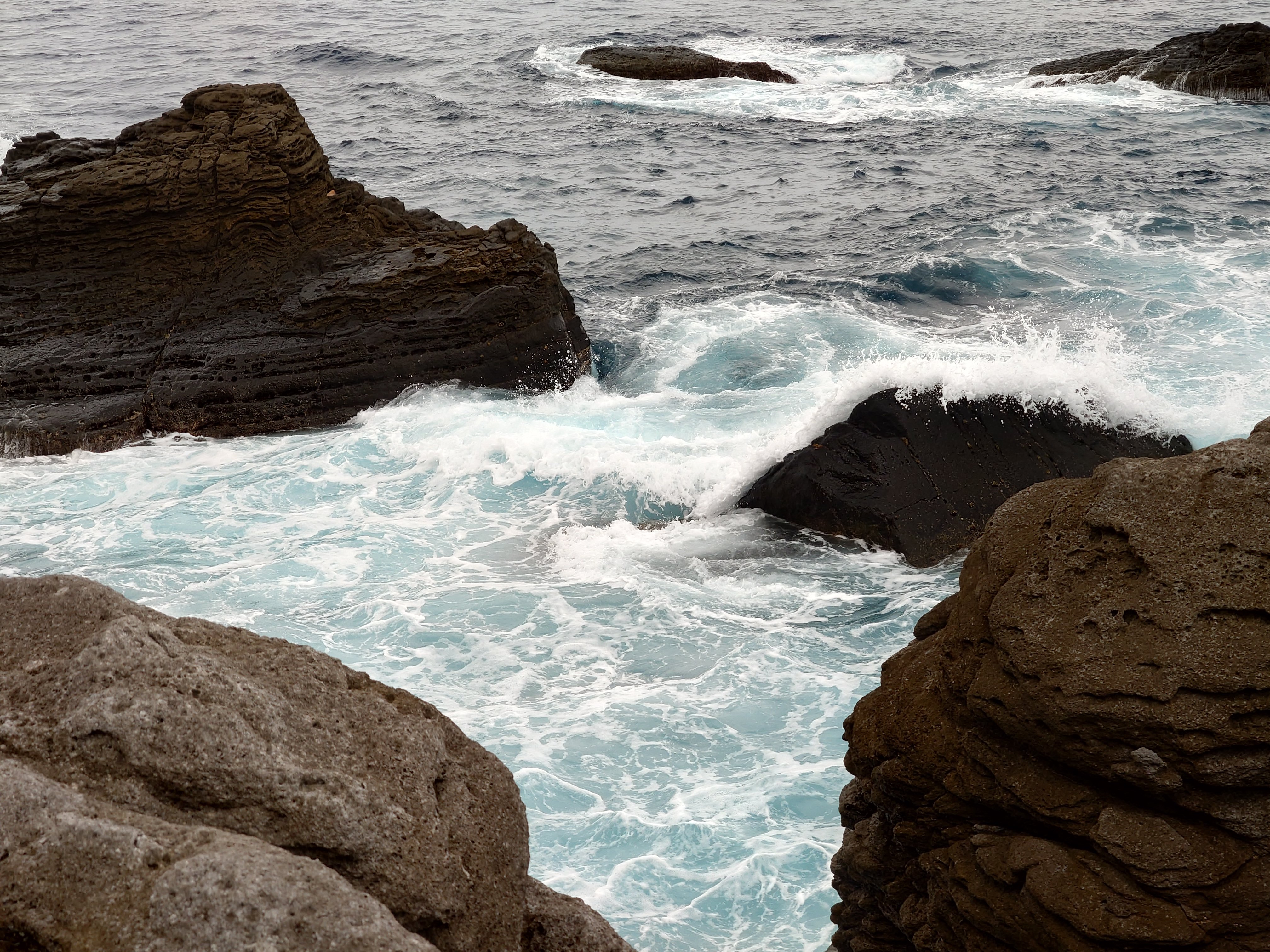 20fps連写の作例（全31枚）