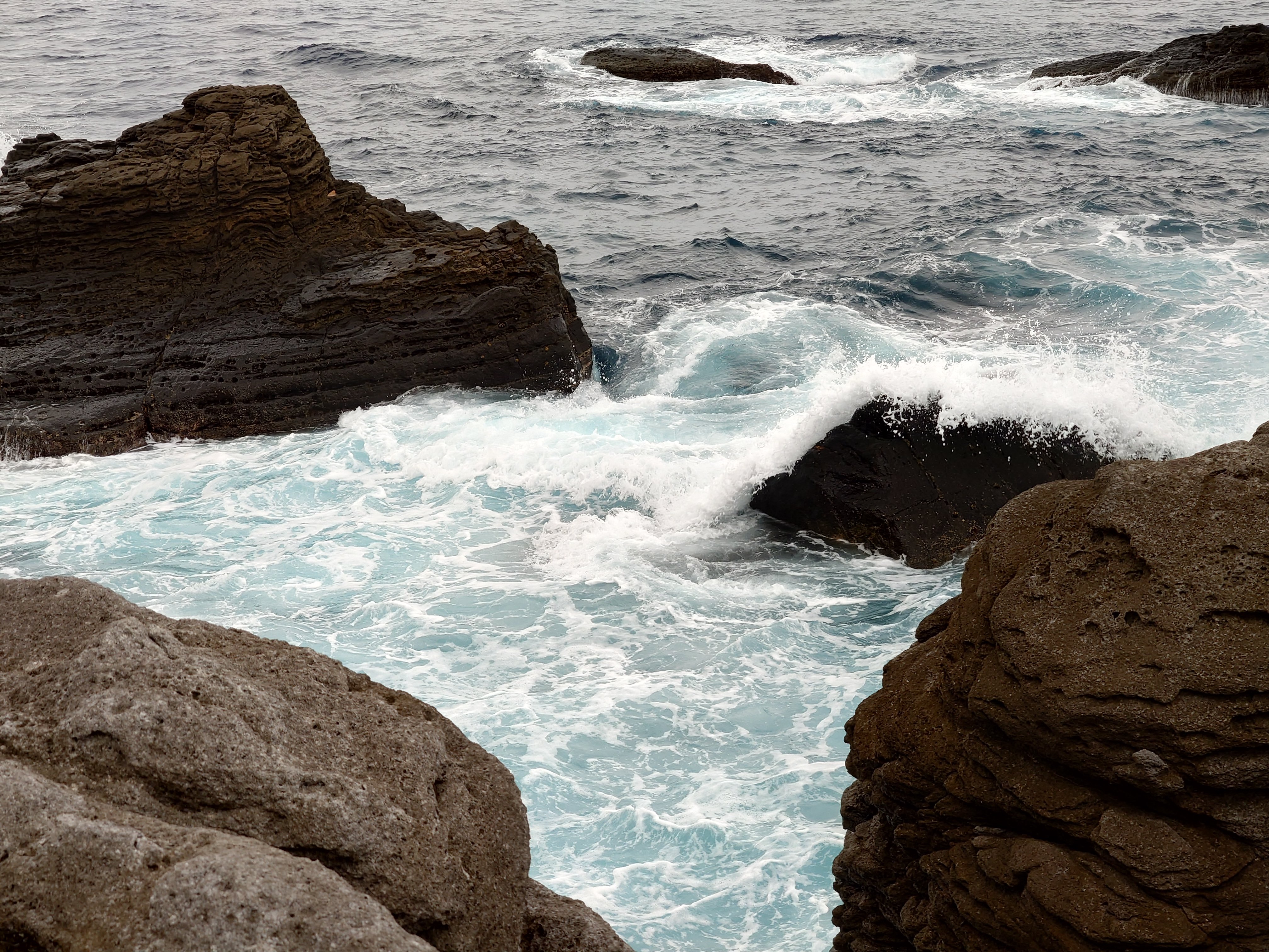 20fps連写の作例（全31枚）