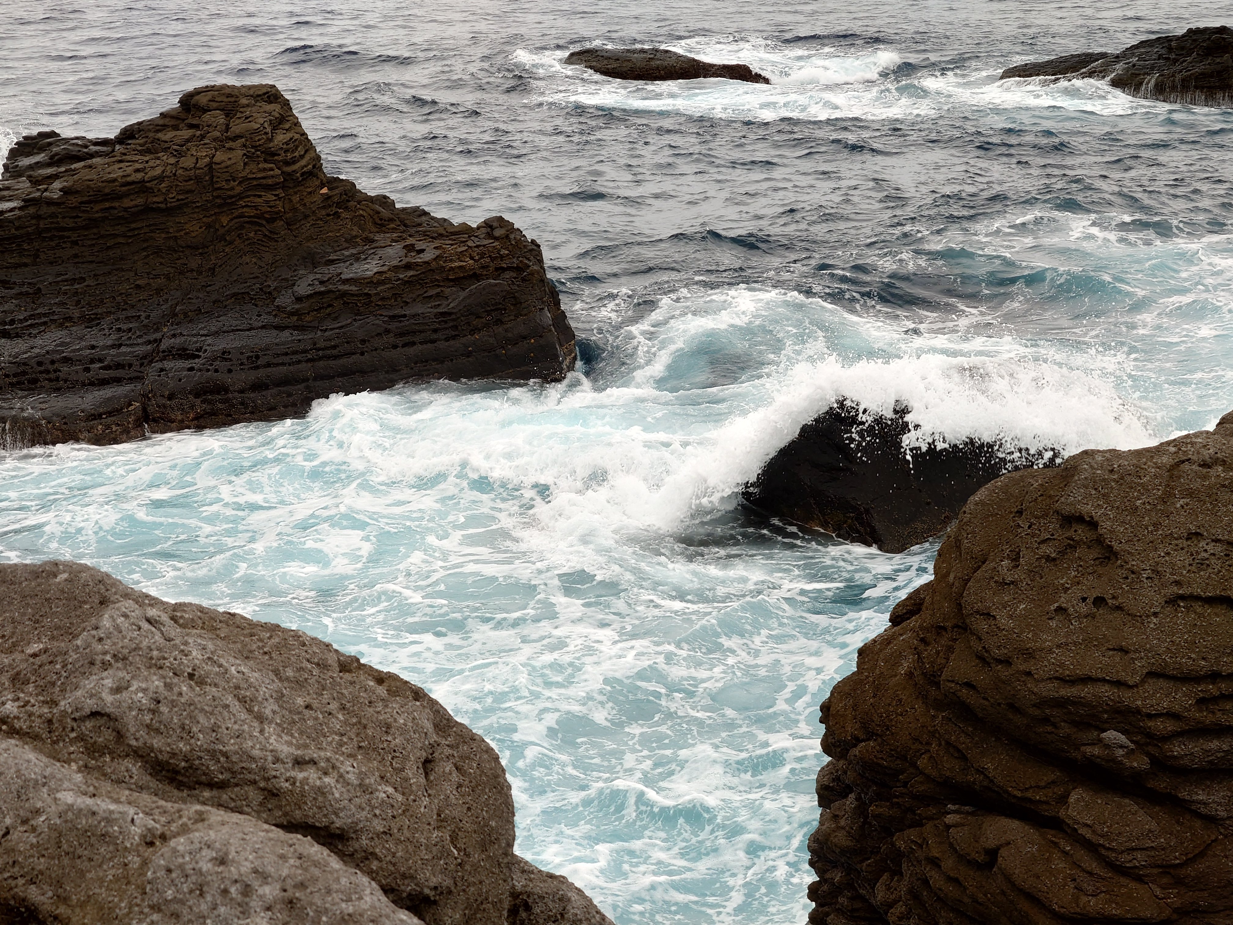 20fps連写の作例（全31枚）