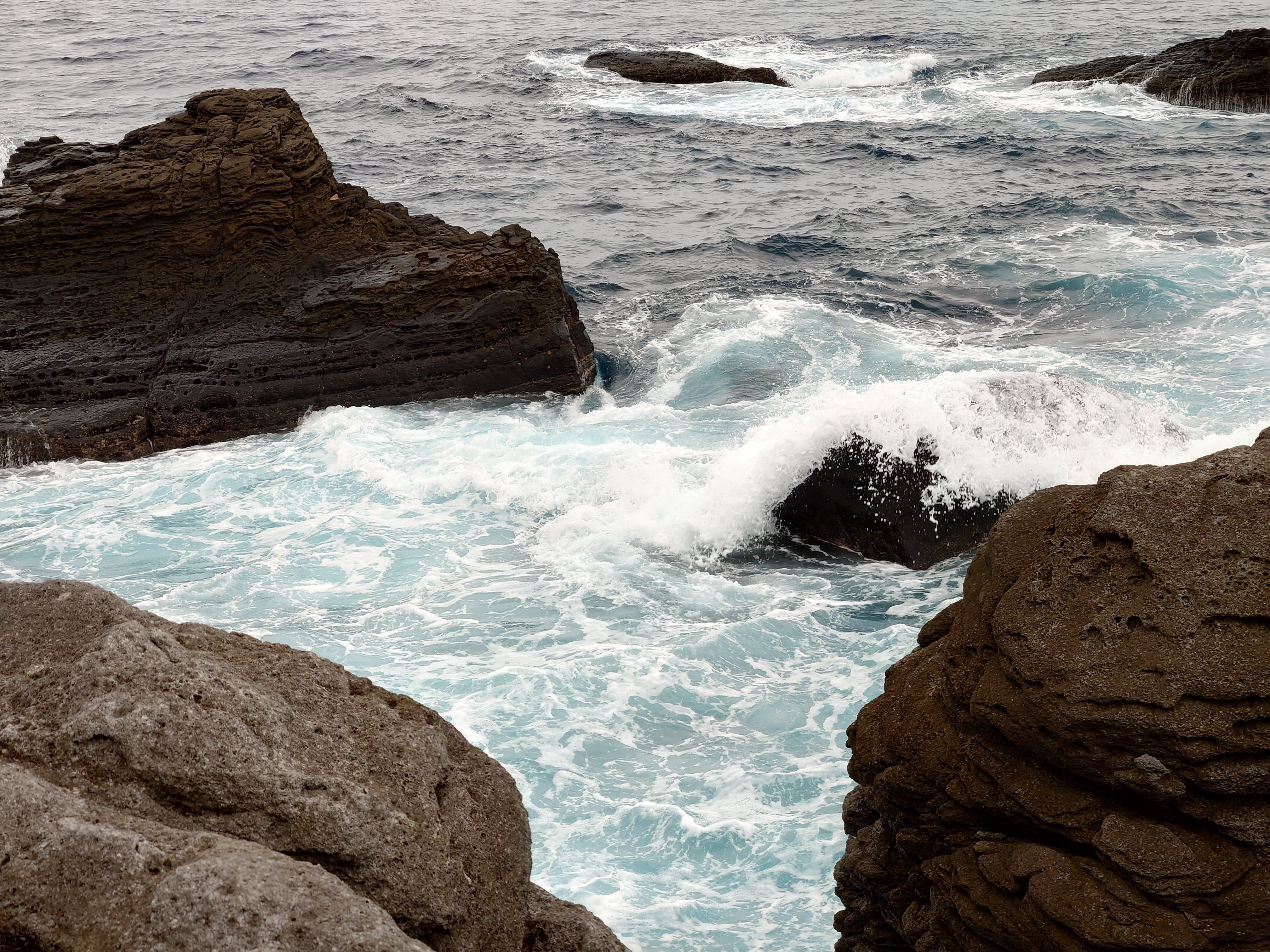 20fps連写の作例（全31枚）