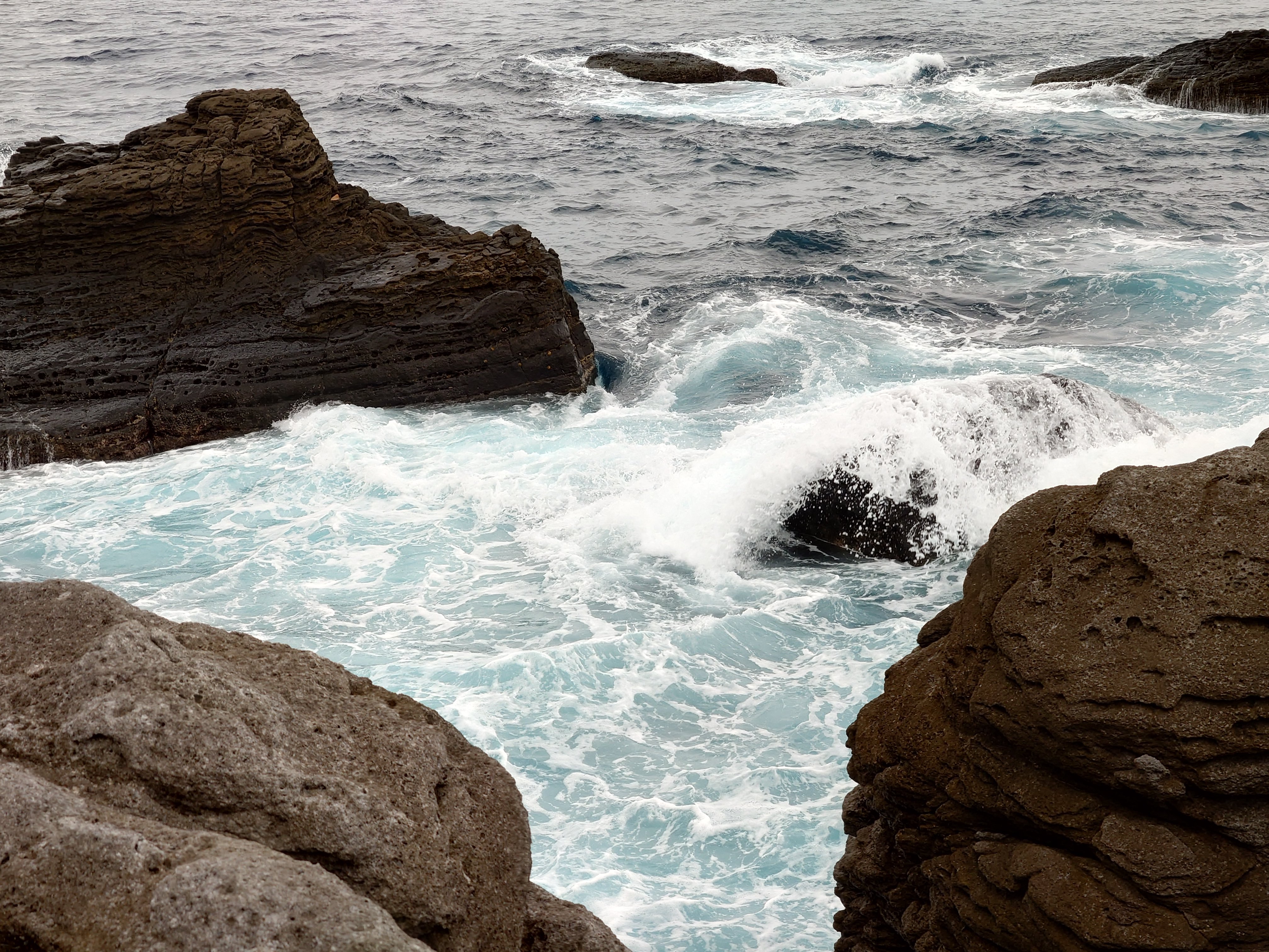 20fps連写の作例（全31枚）