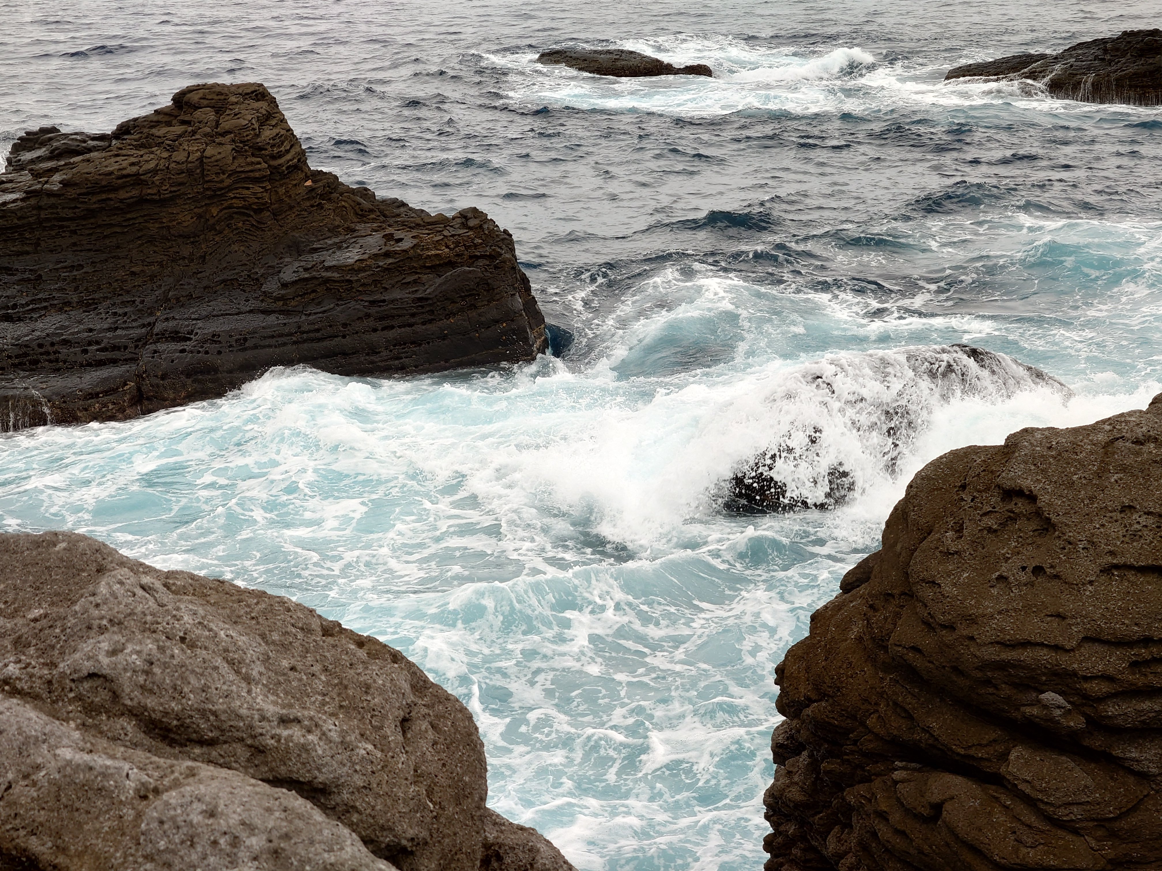 20fps連写の作例（全31枚）