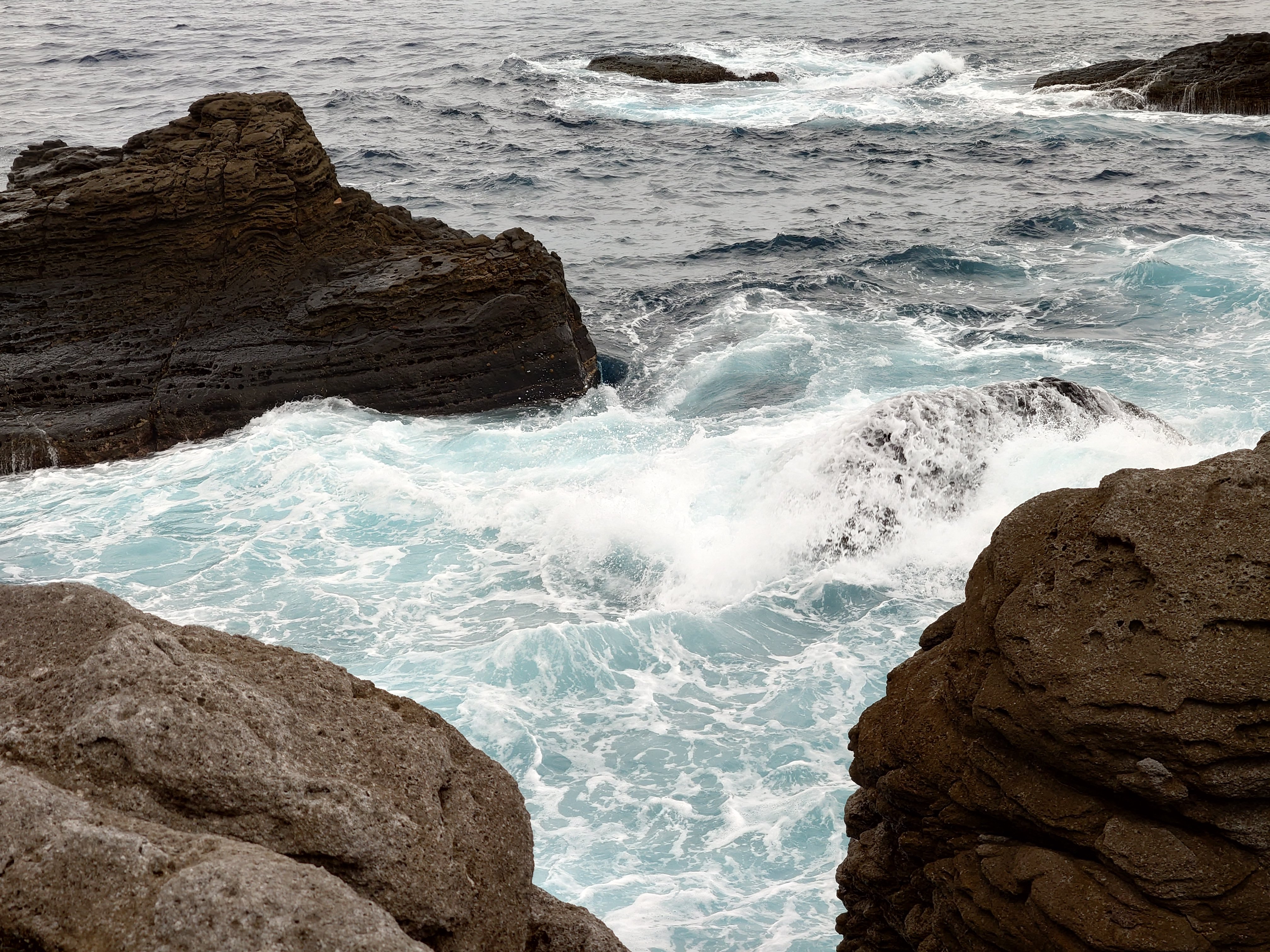 20fps連写の作例（全31枚）