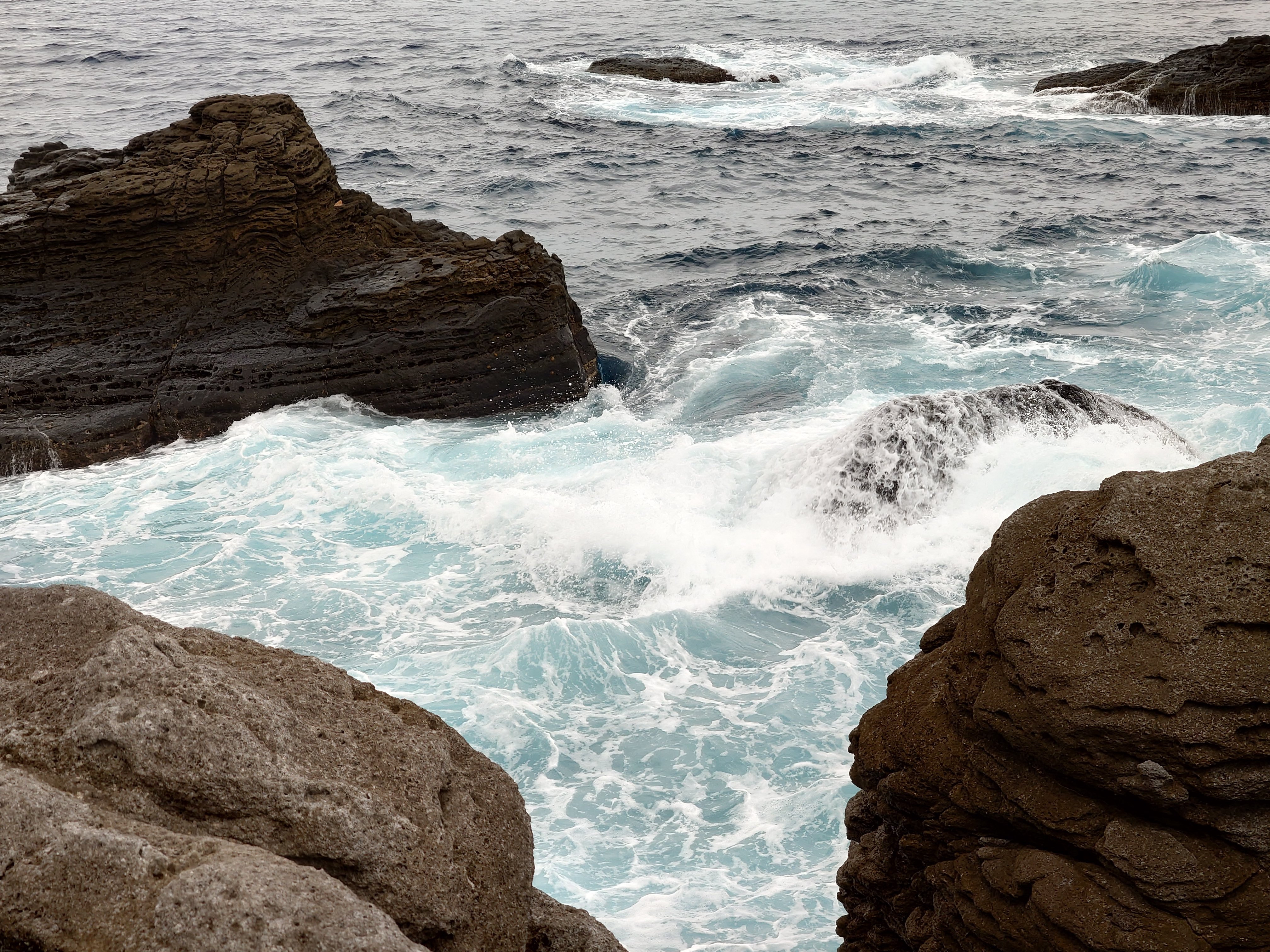 20fps連写の作例（全31枚）