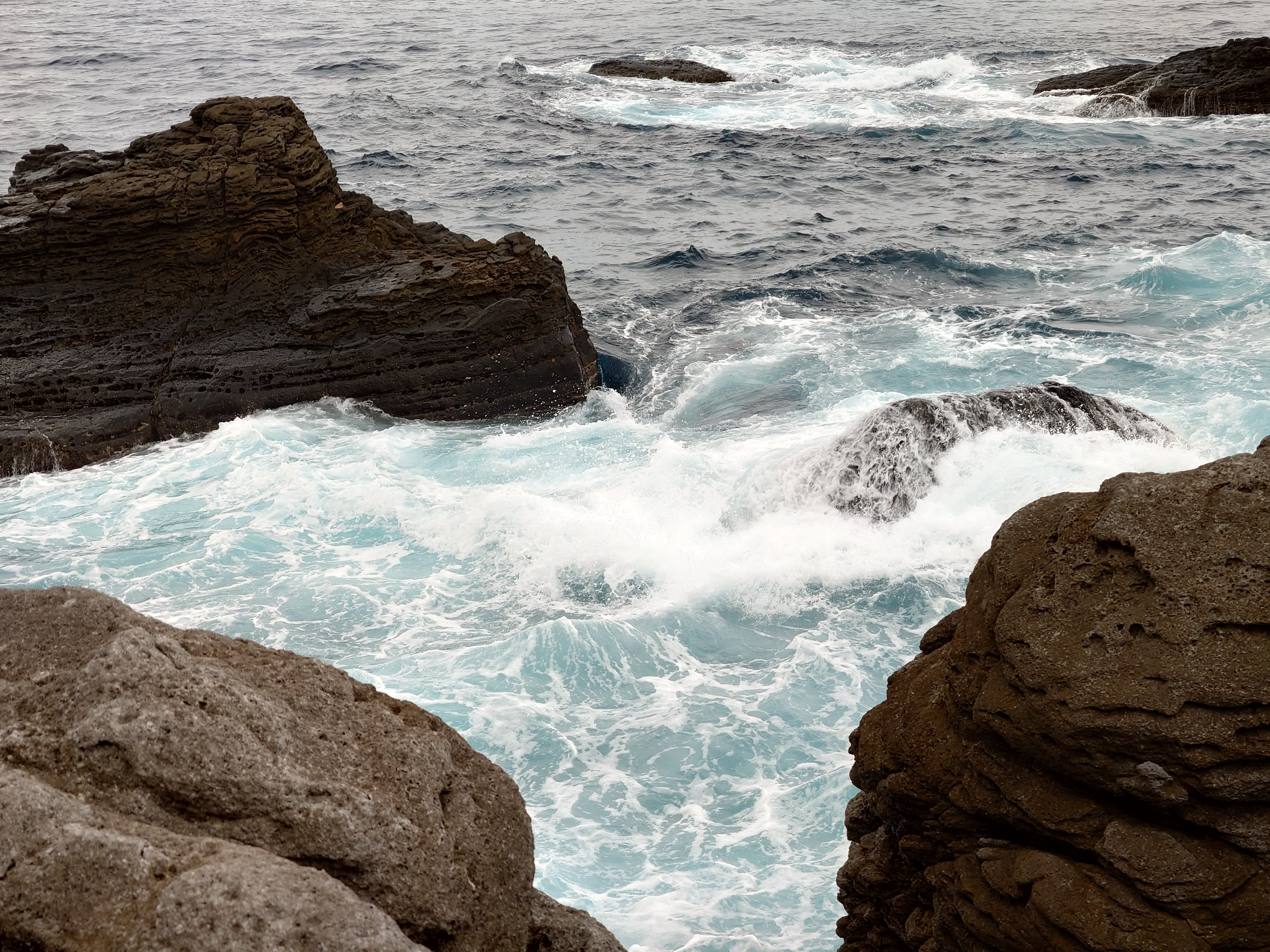 20fps連写の作例（全31枚）