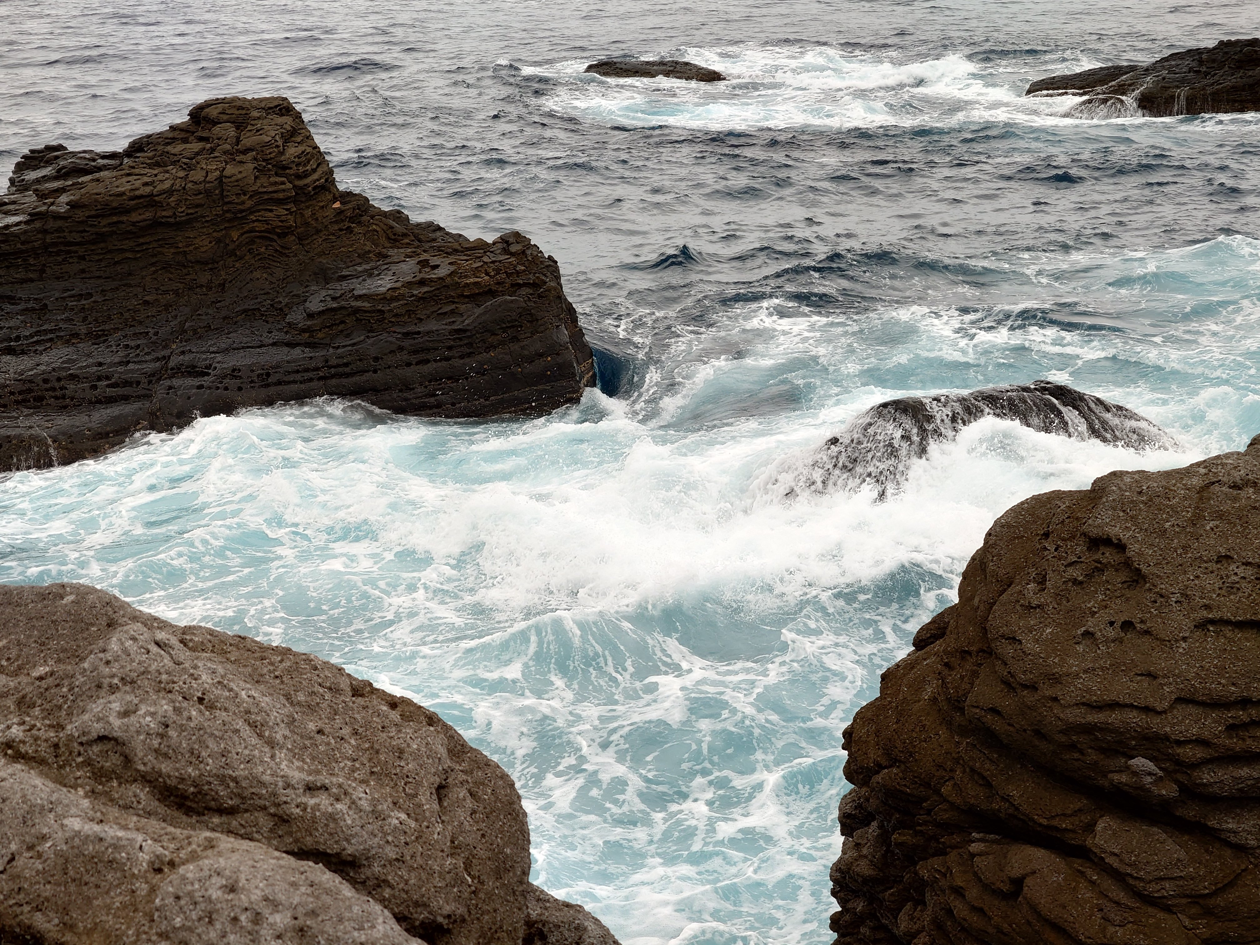 20fps連写の作例（全31枚）