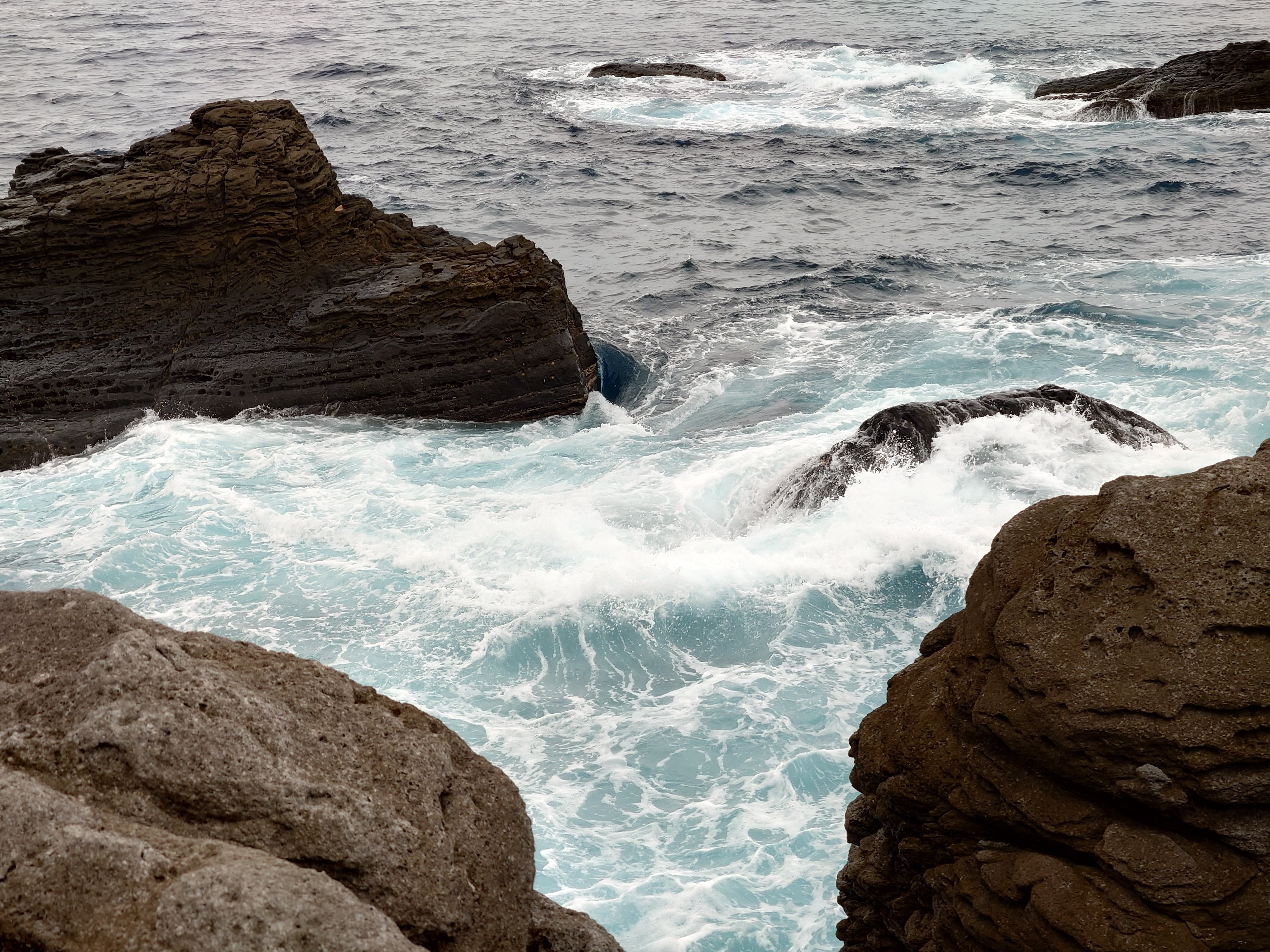 20fps連写の作例（全31枚）