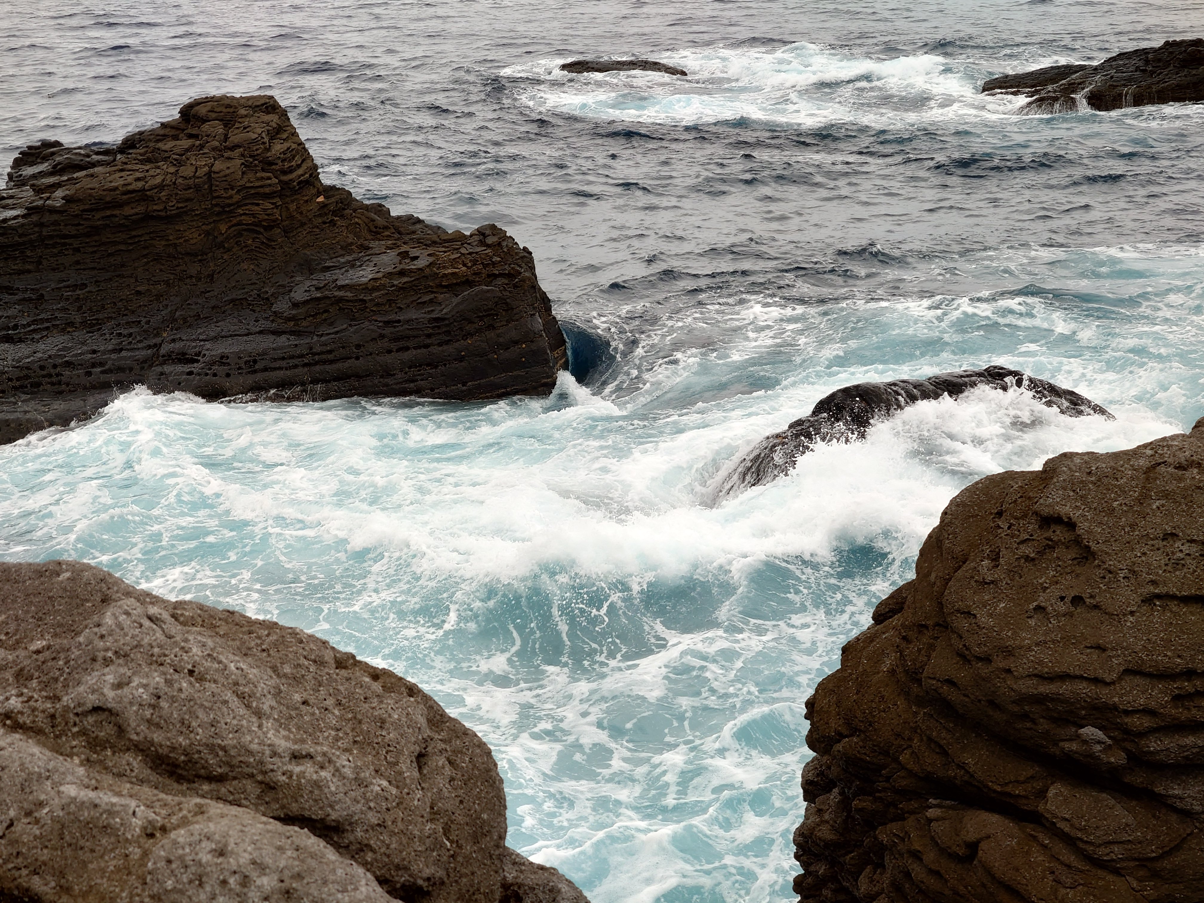 20fps連写の作例（全31枚）