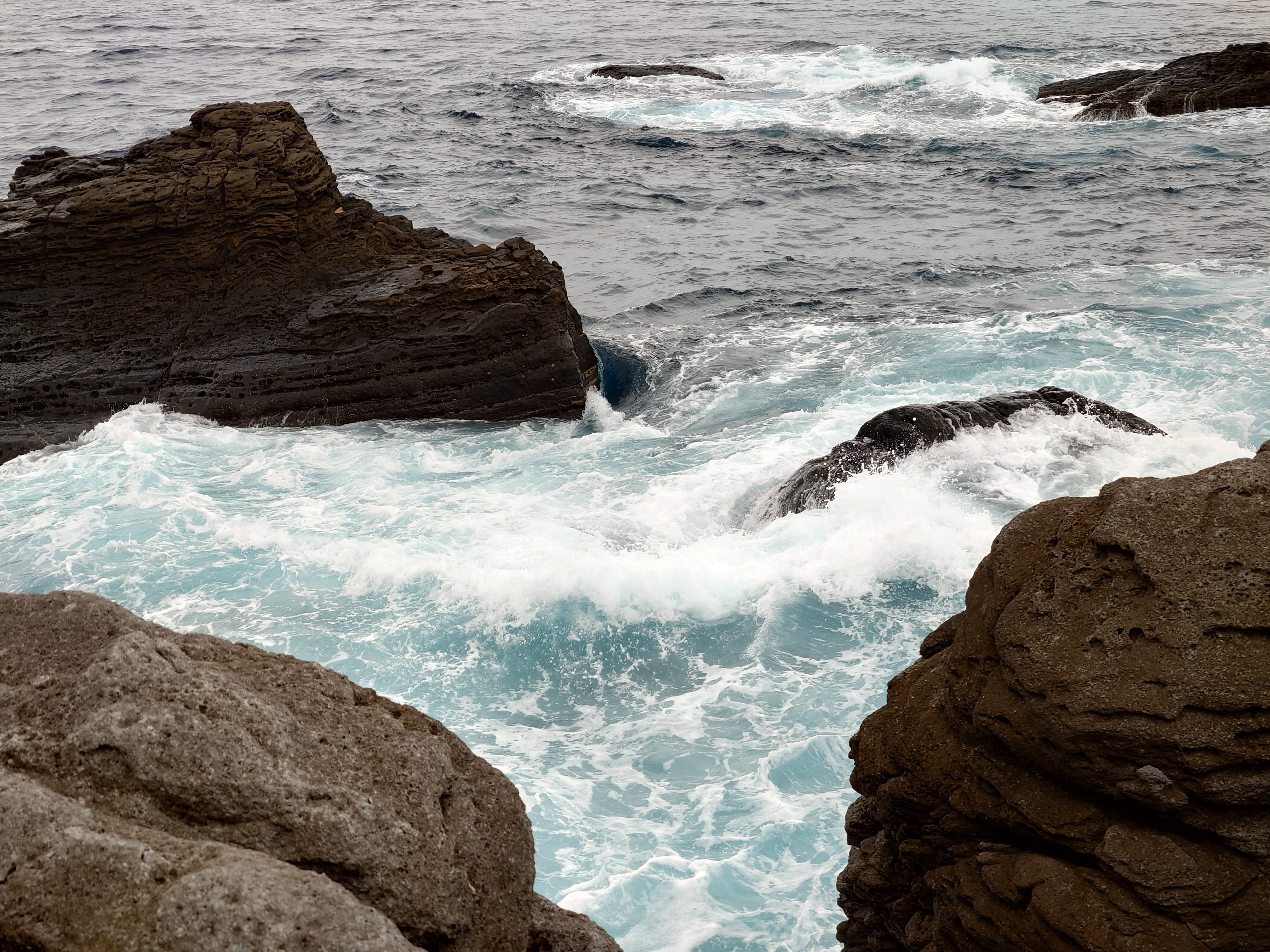 20fps連写の作例（全31枚）