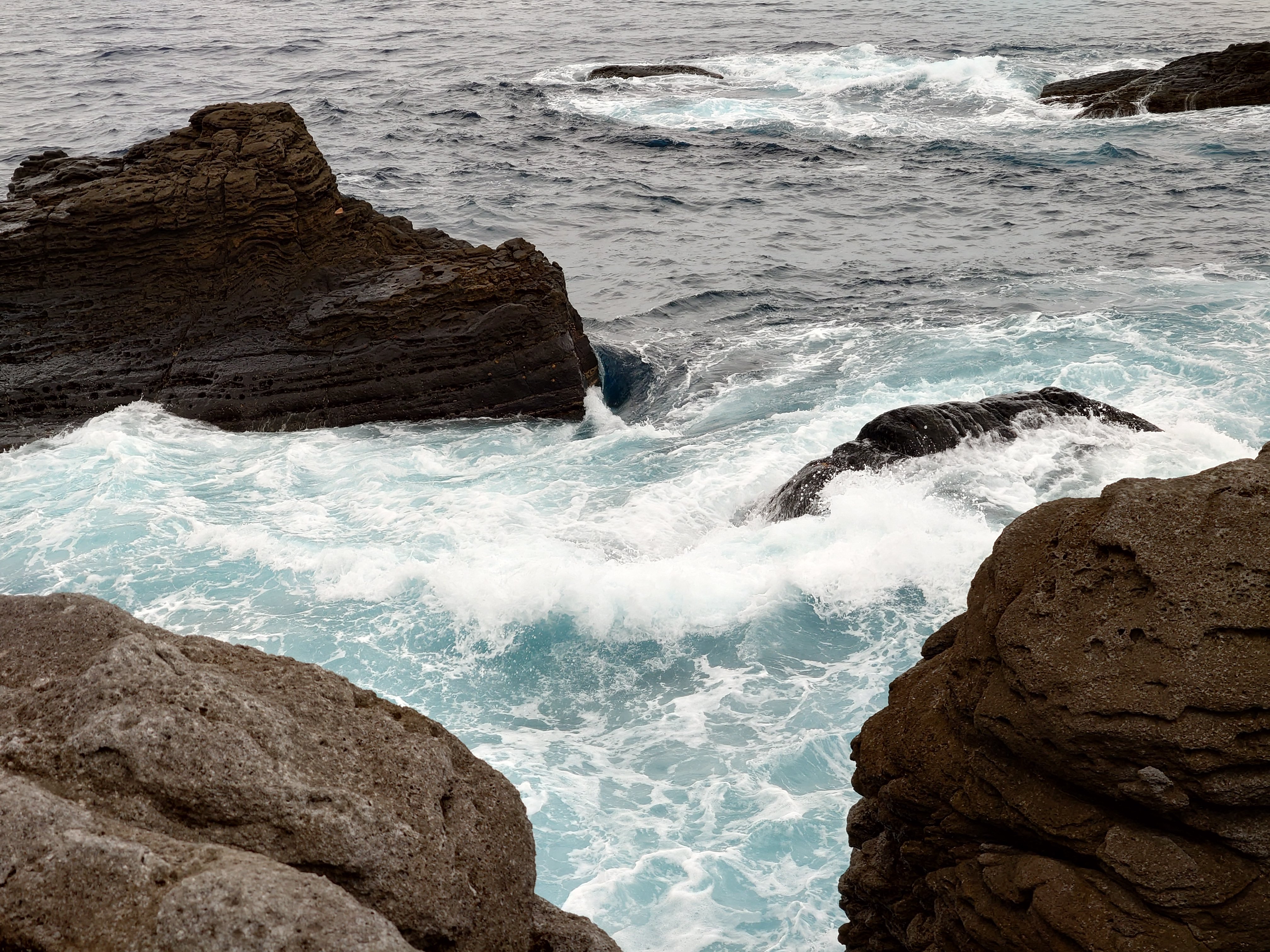 20fps連写の作例（全31枚）