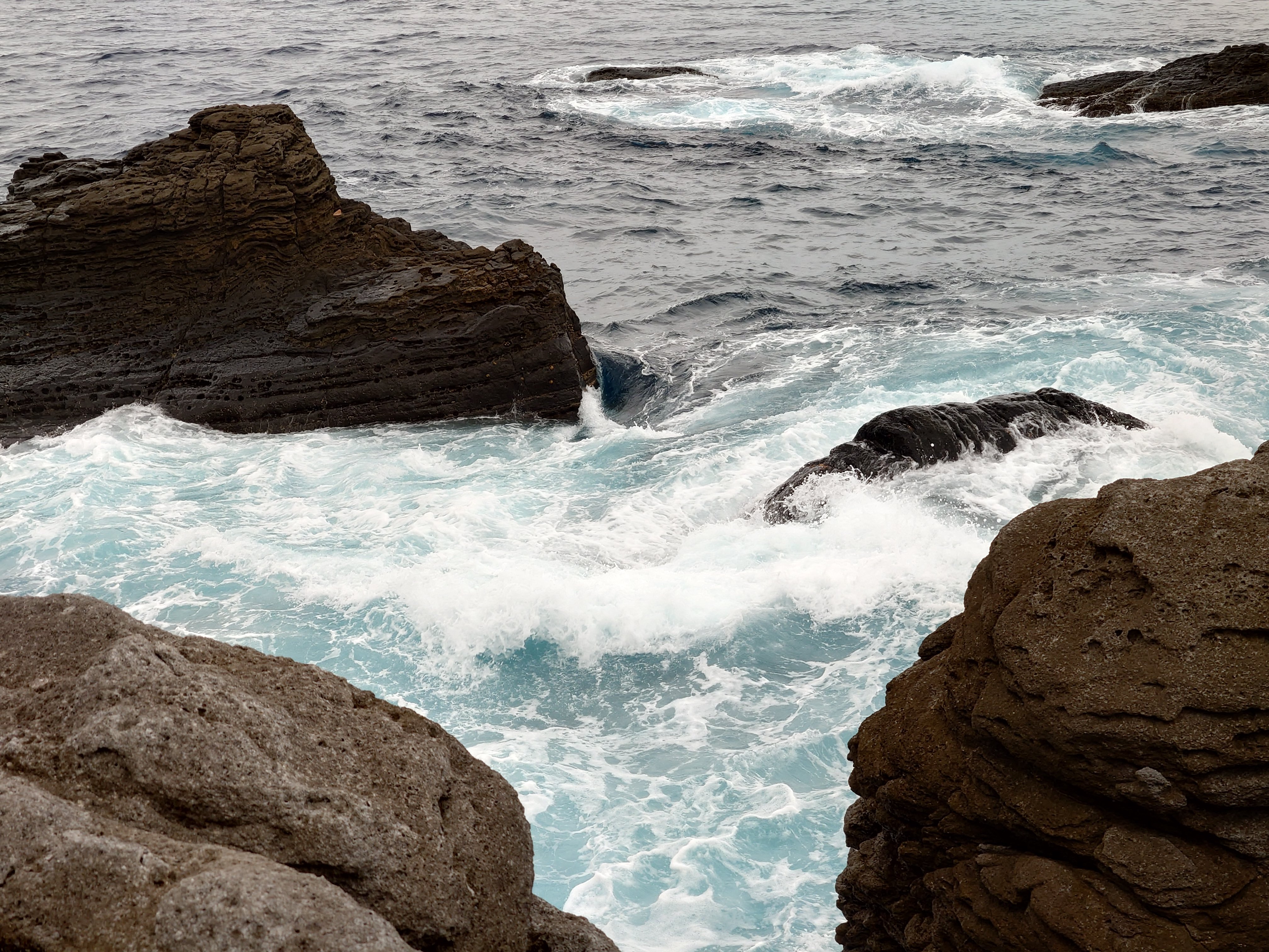 20fps連写の作例（全31枚）