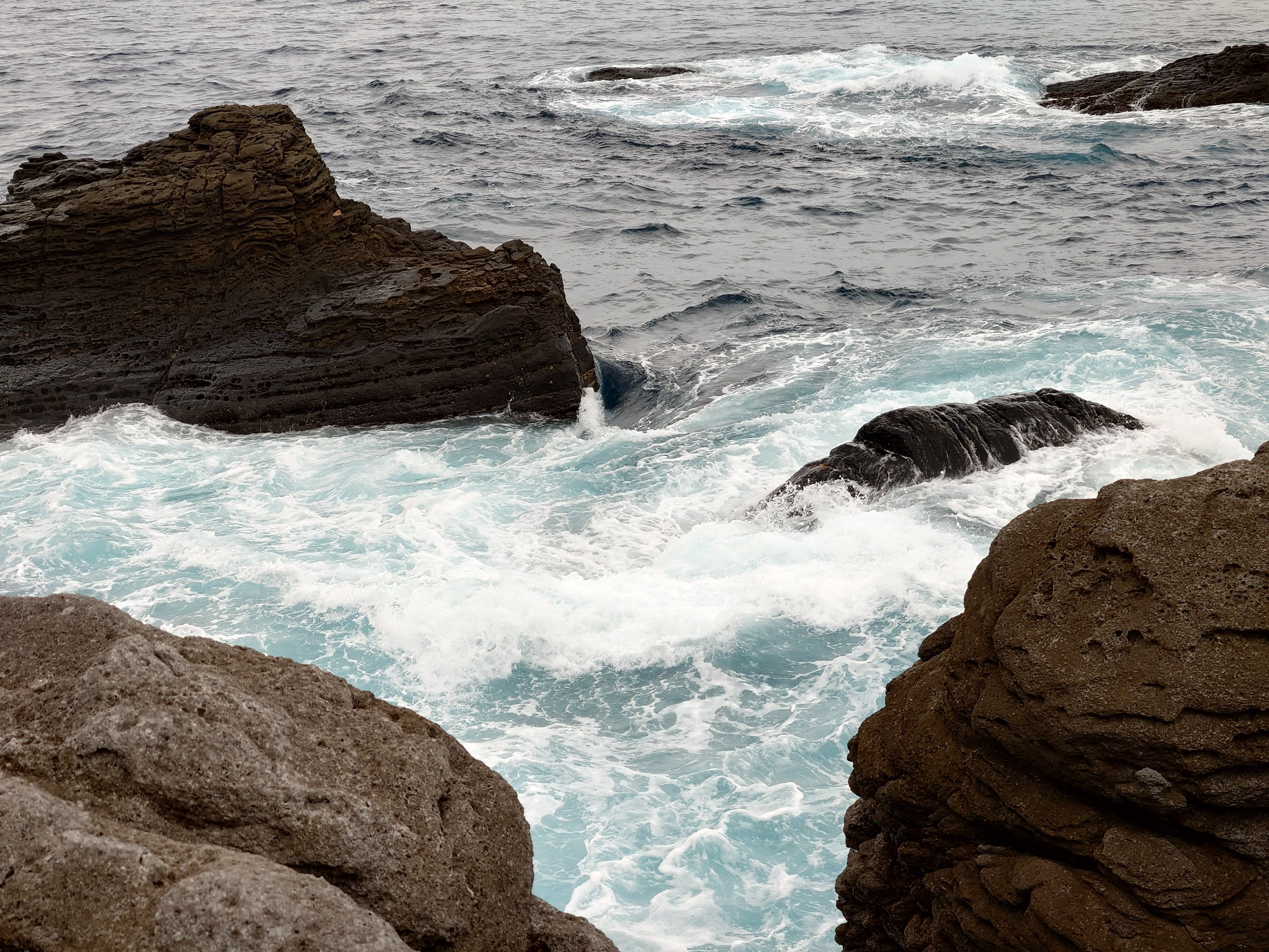 20fps連写の作例（全31枚）