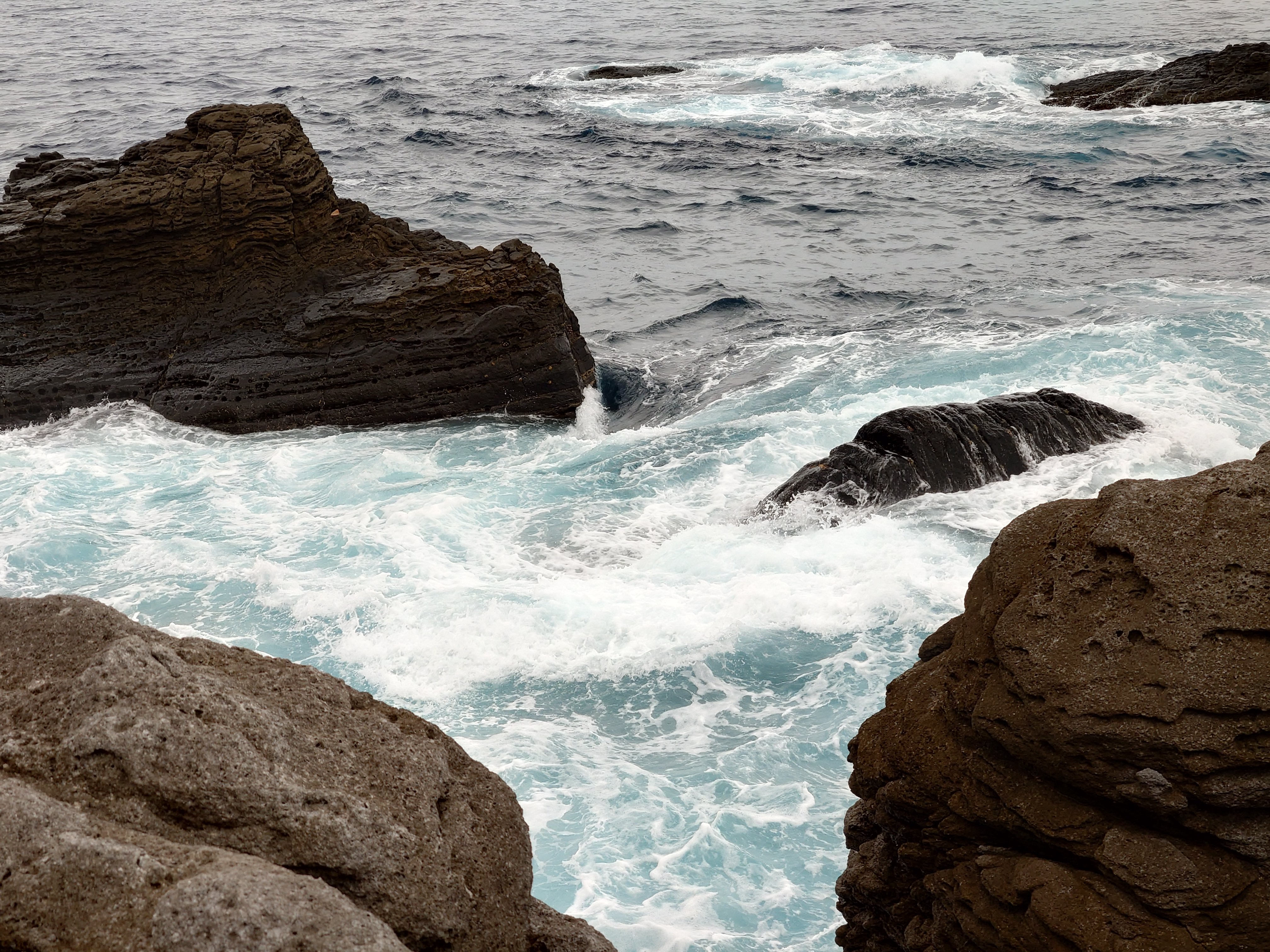 20fps連写の作例（全31枚）