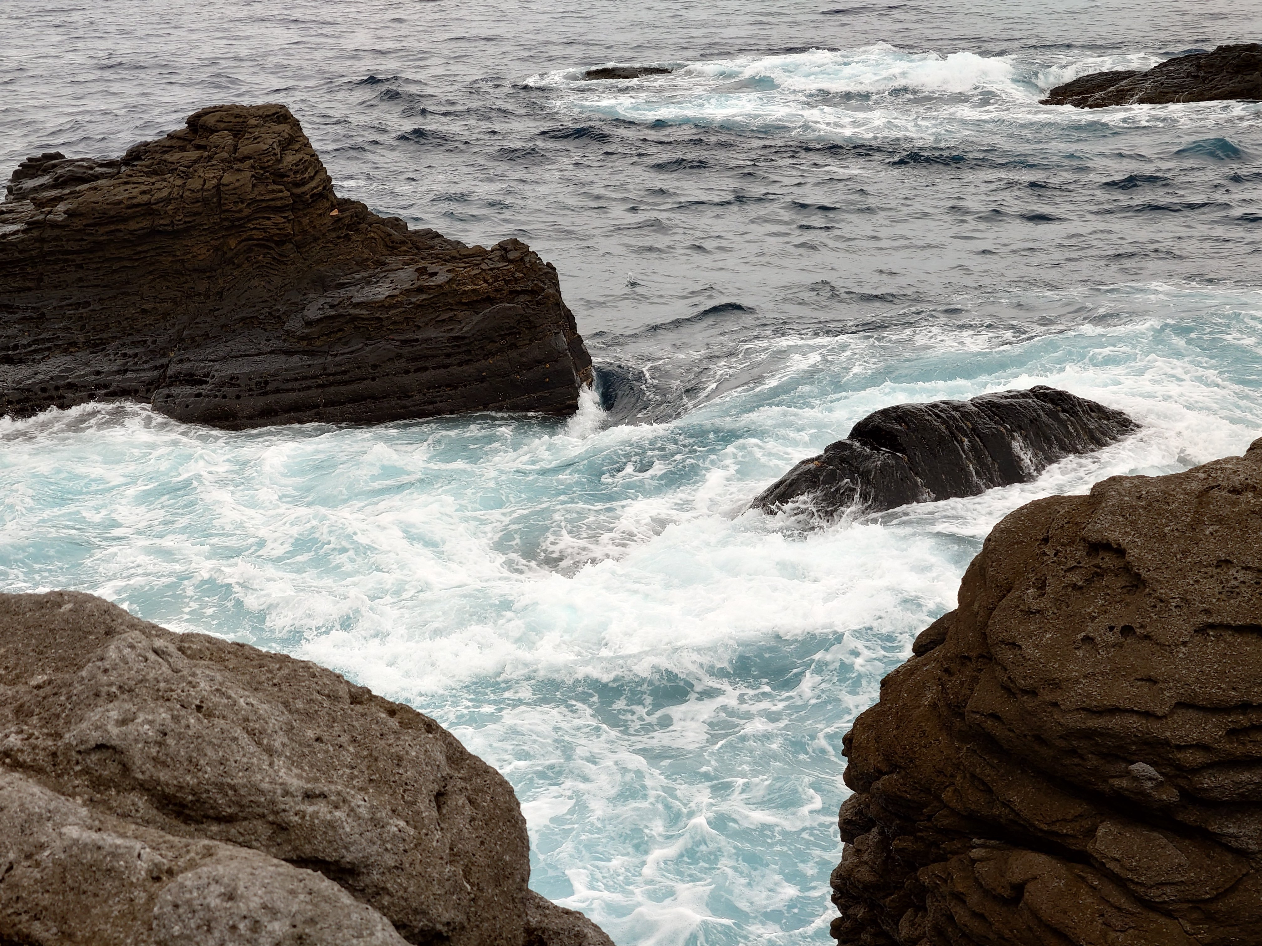 20fps連写の作例（全31枚）