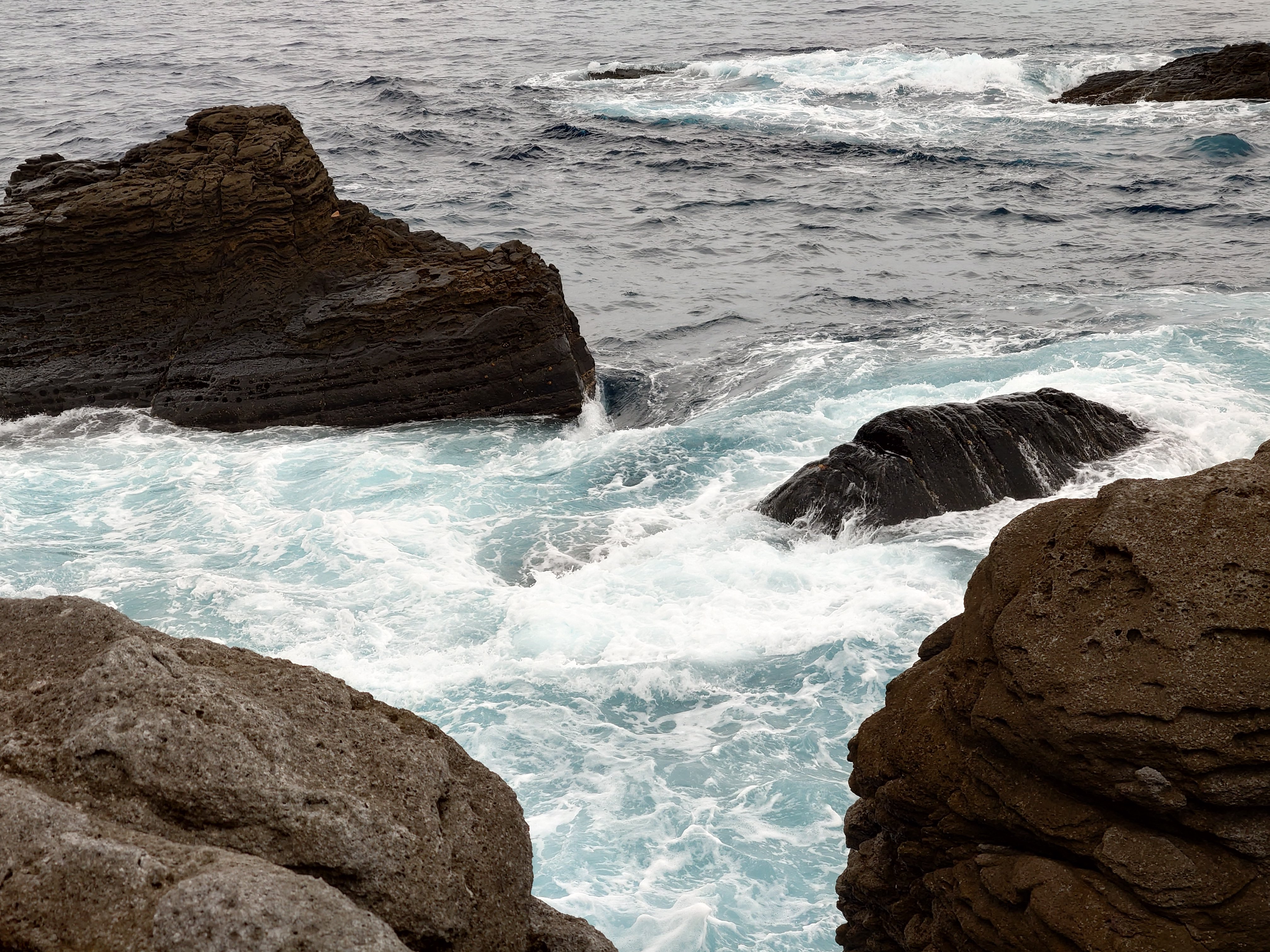 20fps連写の作例（全31枚）