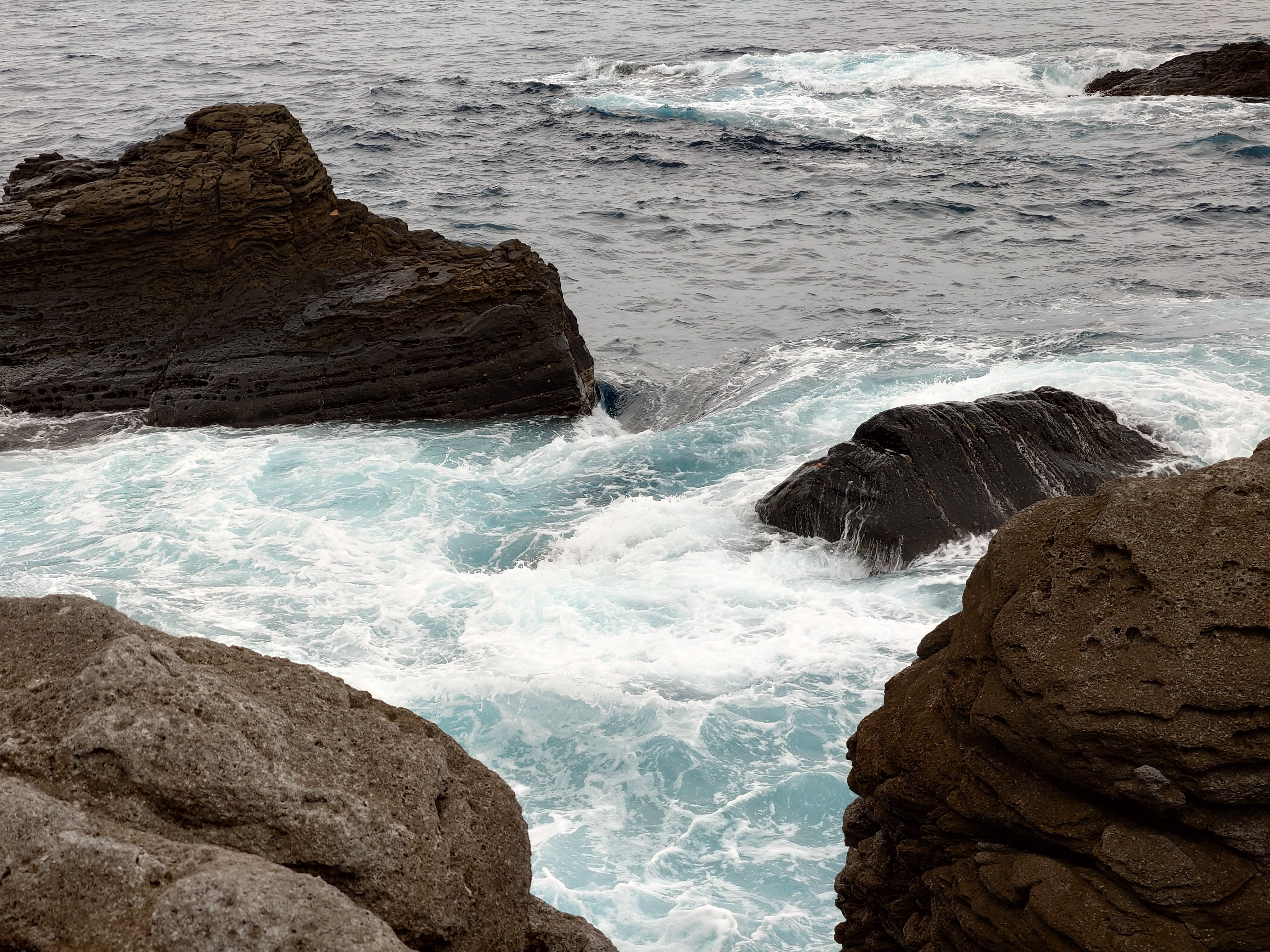 20fps連写の作例（全31枚）