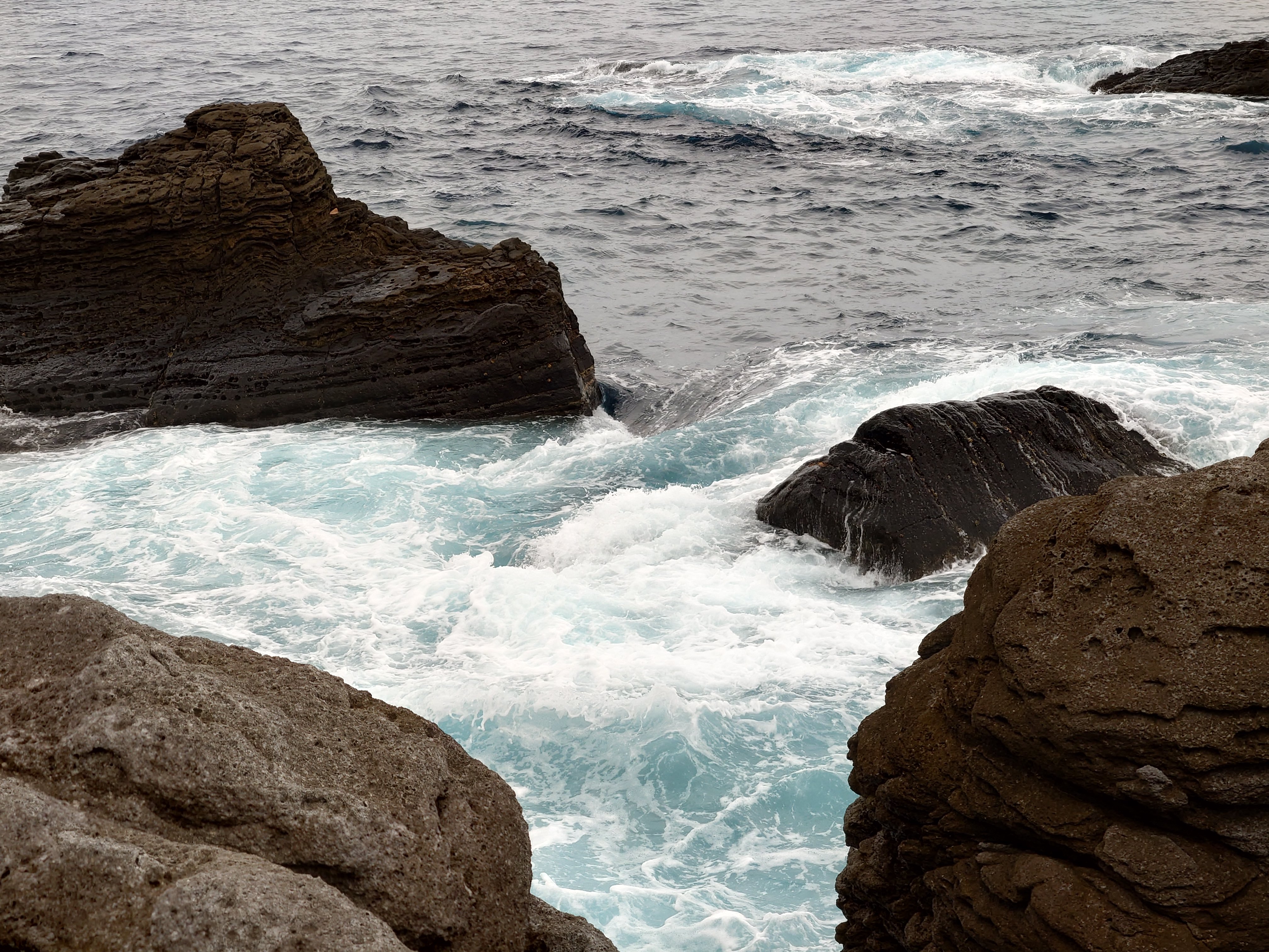 20fps連写の作例（全31枚）