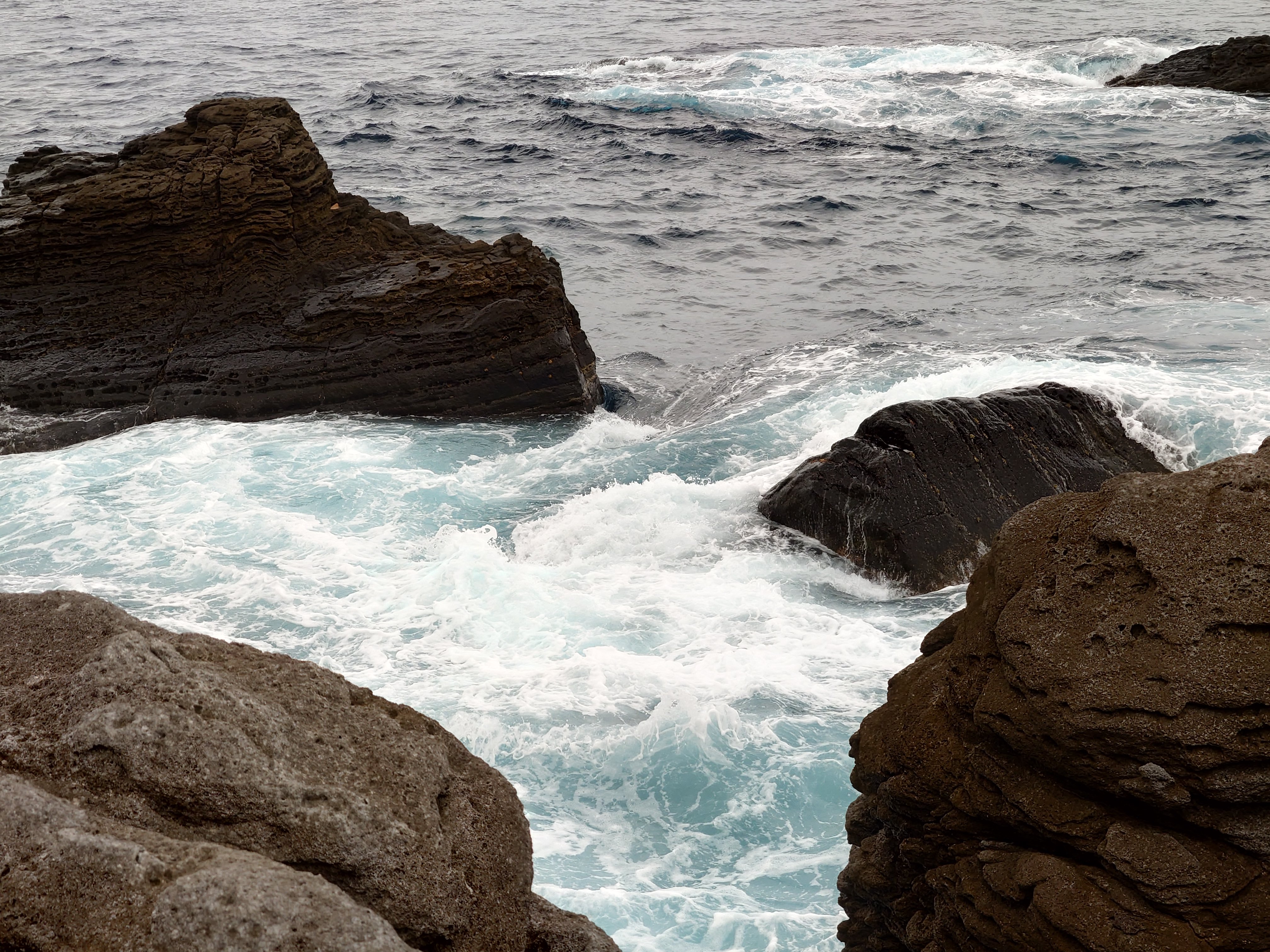 20fps連写の作例（全31枚）