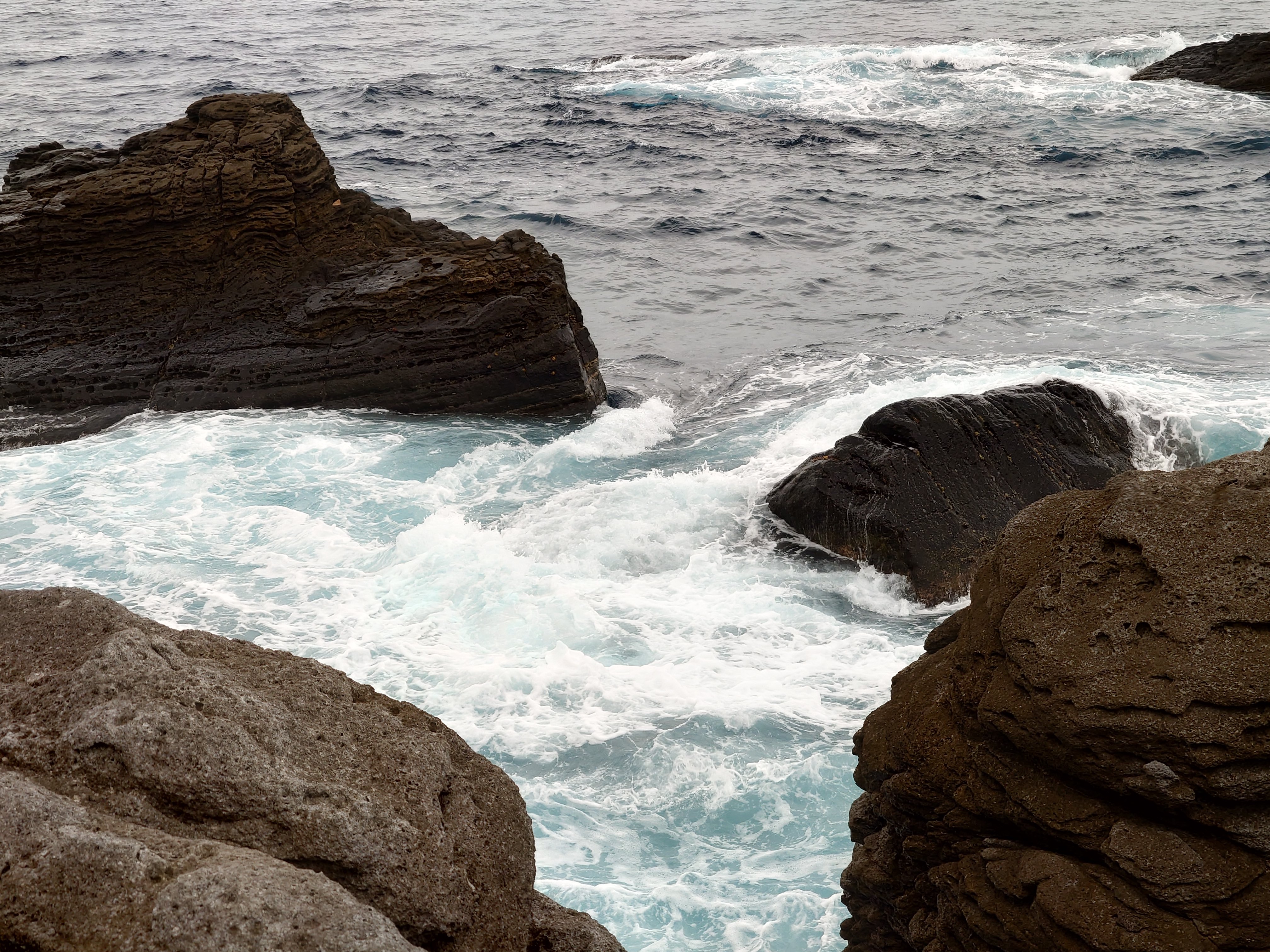 20fps連写の作例（全31枚）