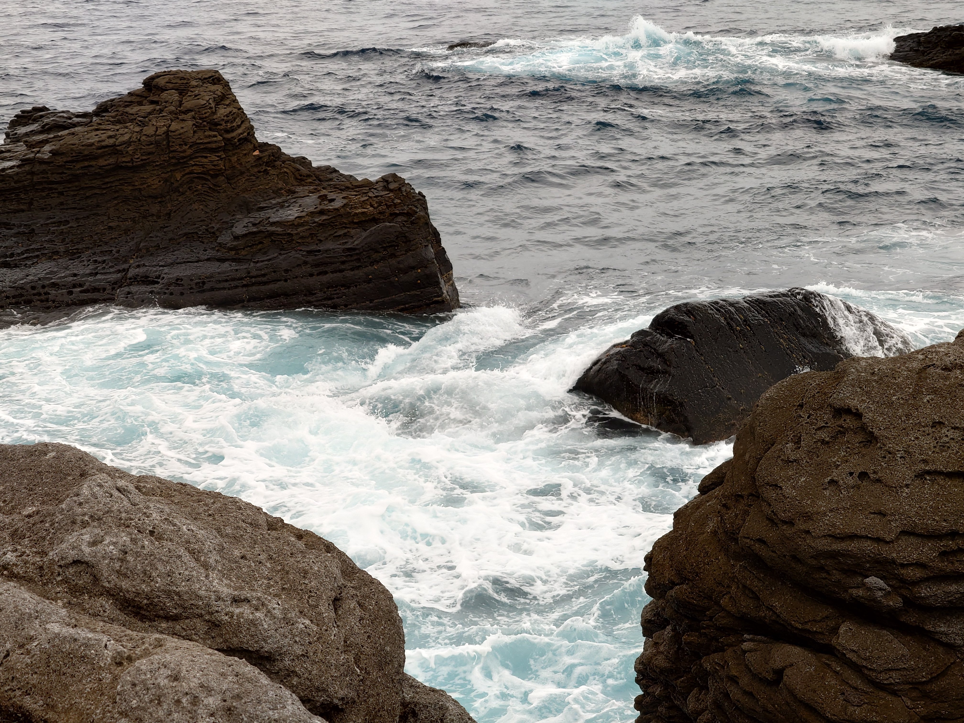 20fps連写の作例（全31枚）