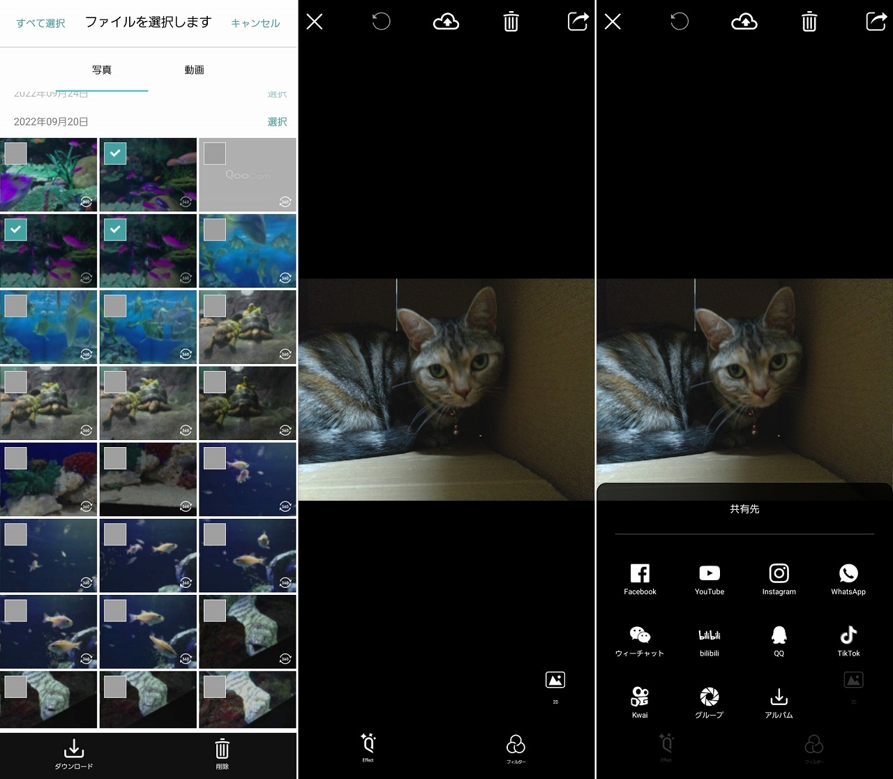 まずは、カメラ内のデータをスマホにダウンロードする。ダウンロード後、場所を「Appアルバム」に切り替えて画像をタップすると、アップロードしたり共有したりするためのメニューが表示される