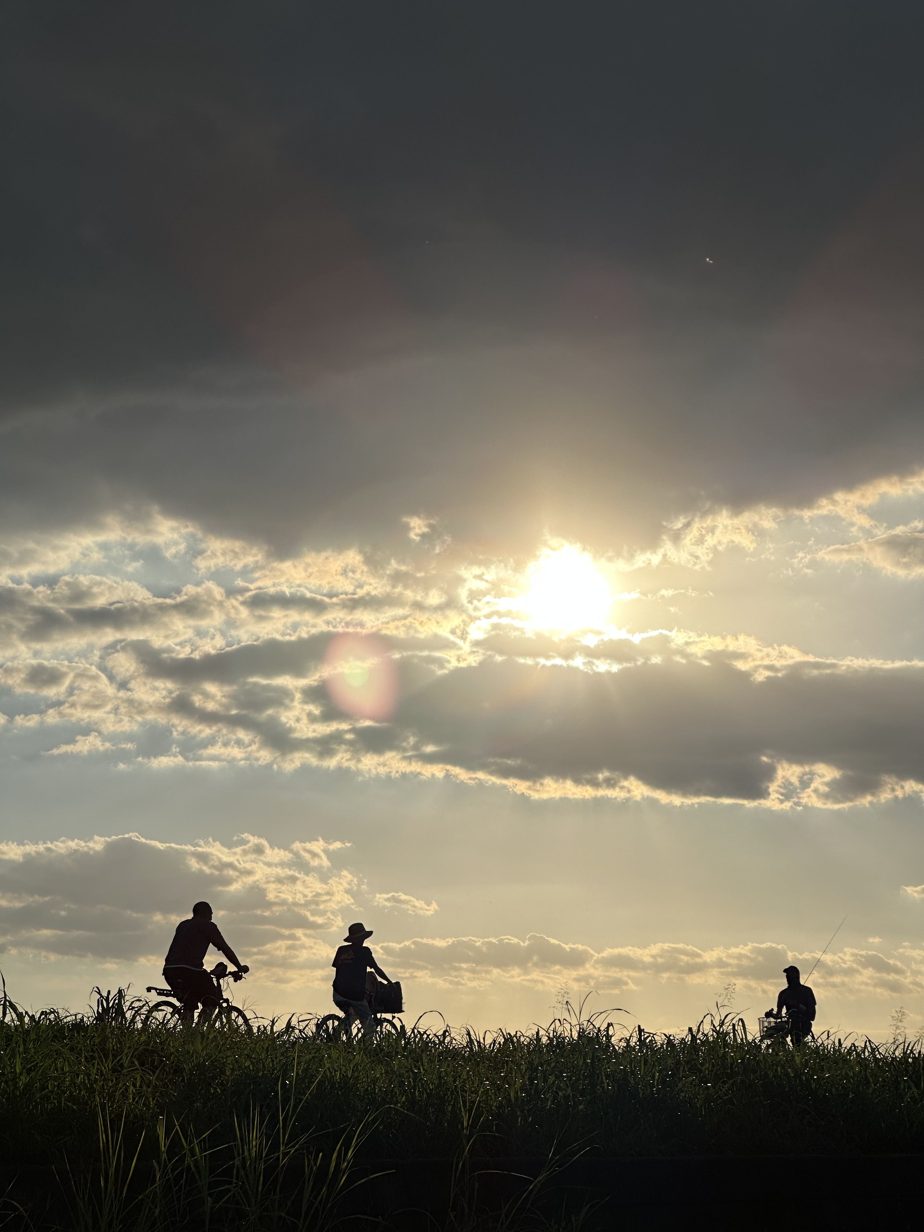 秋になり日がめっきりと短くなってきた。土手上を走る自転車を望遠カメラで狙う。太陽がフレーム内に入っているので相変わらず盛大なゴーストが発生してしまう。夜間の点光源などにも気をつけたいものである