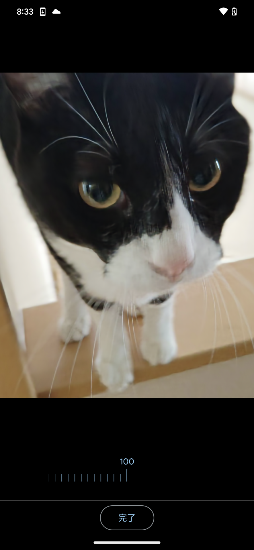 ボケ補正をすると、ぼやけた写真がシャープに補正された