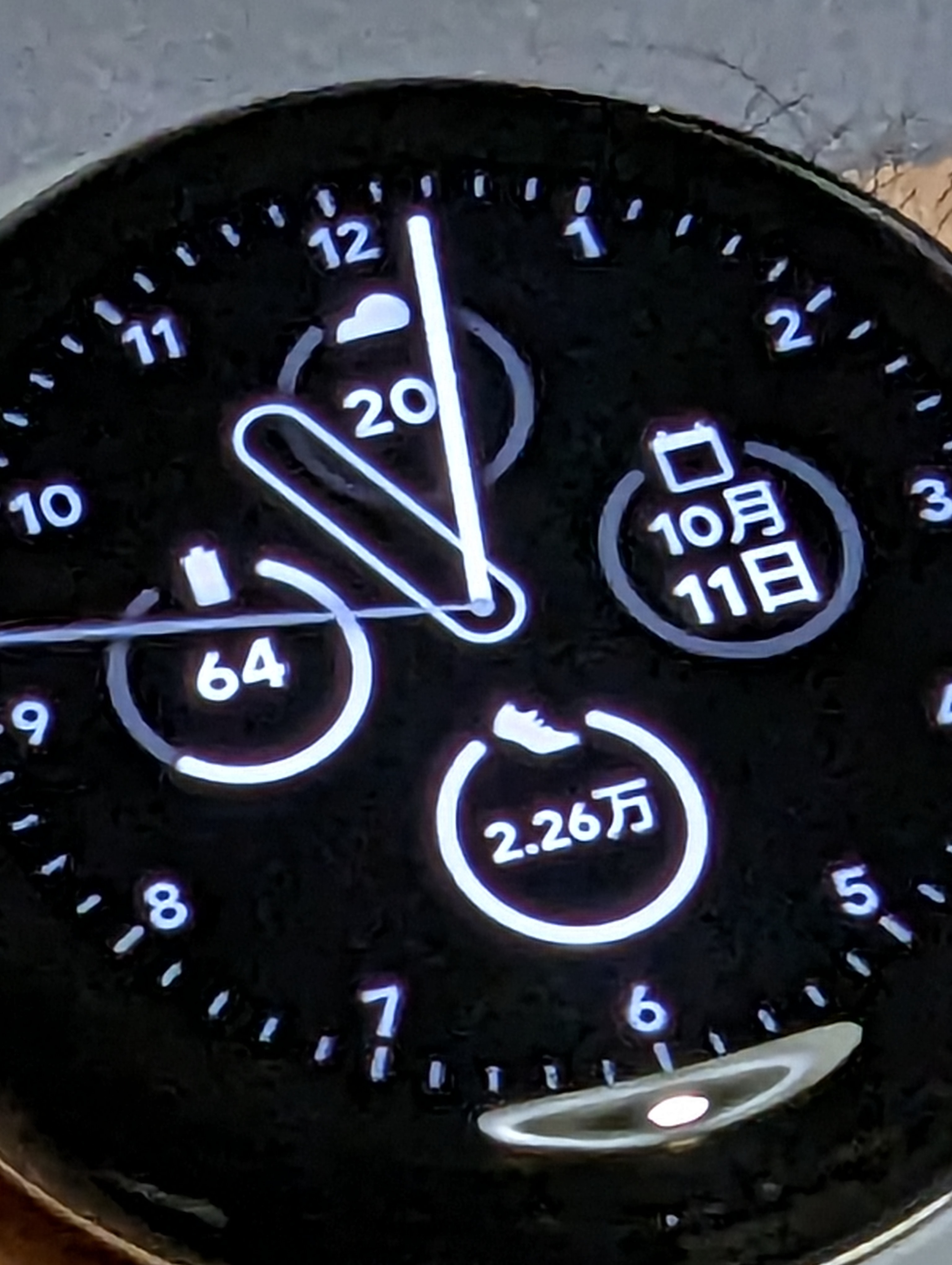Pixel Watch（LTEモデル）に迫ってみた。驚くほど被写体に接近できる